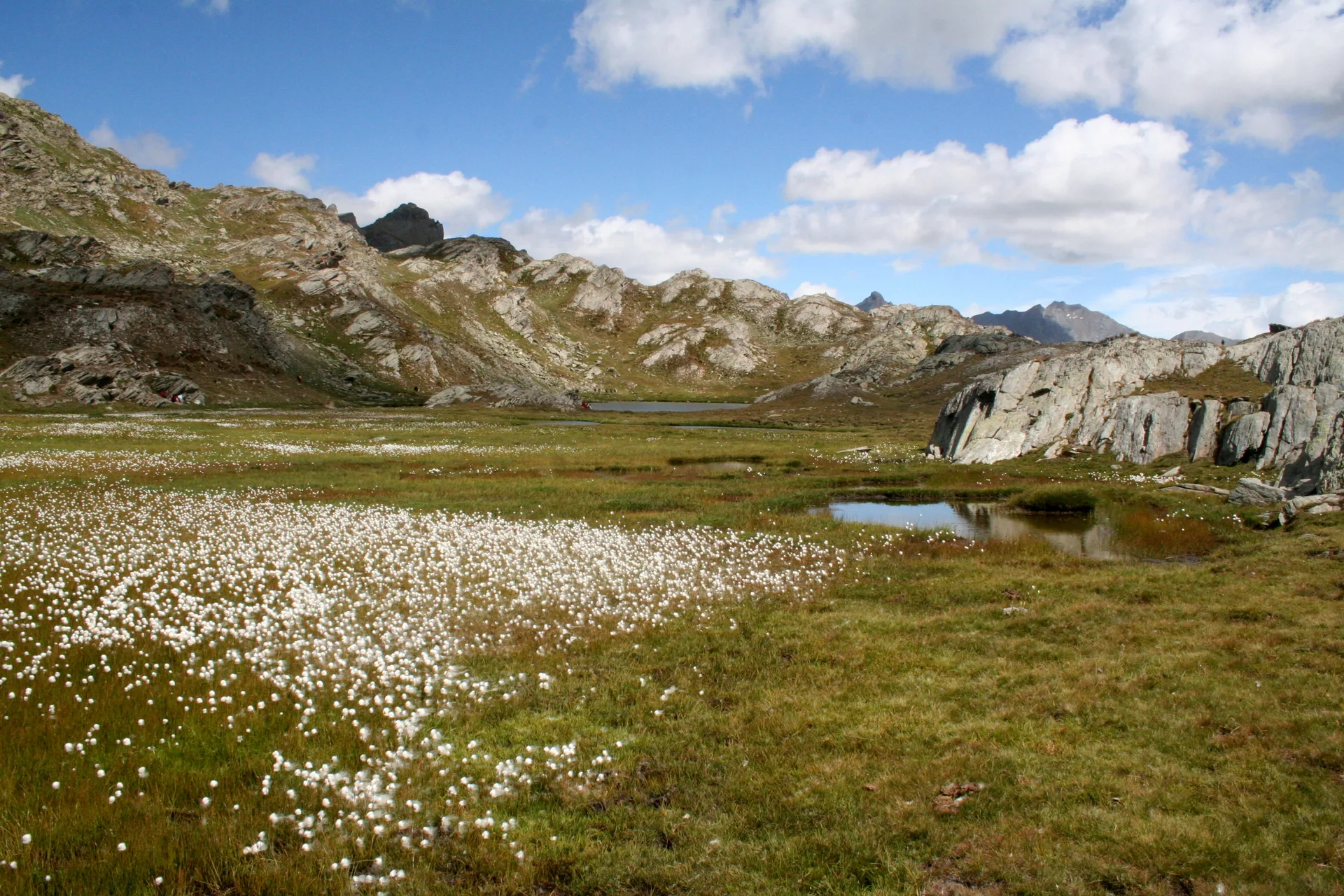 Lac du Longet à Saint-Paul-sur-Ubaye — À 593 m du lac