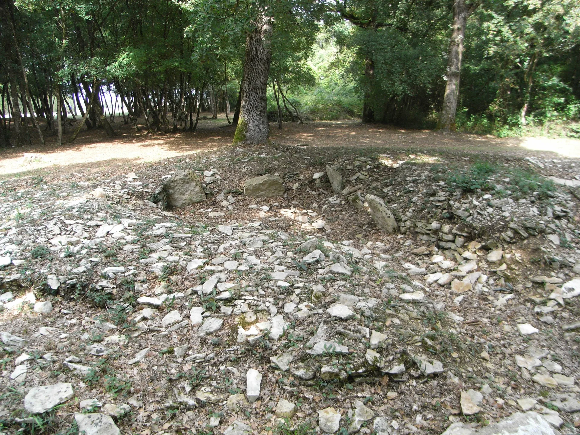 Lac du Mignon à Saint-Hilaire-la-Palud — À 4,7 km du lac