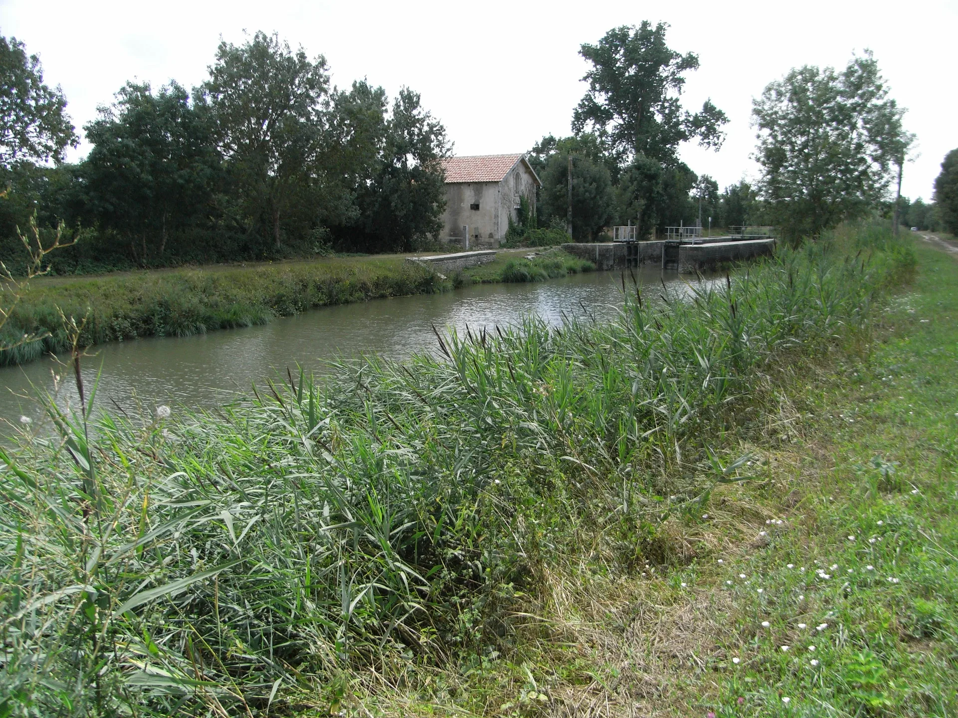 Lac du Mignon à Saint-Hilaire-la-Palud — À 1,4 km du lac