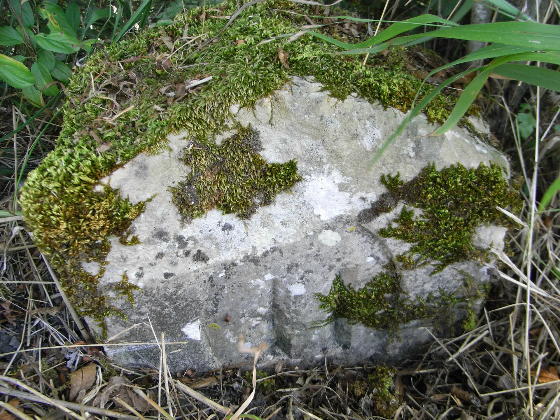 Lac du Mignon à Saint-Hilaire-la-Palud — À 2,7 km du lac