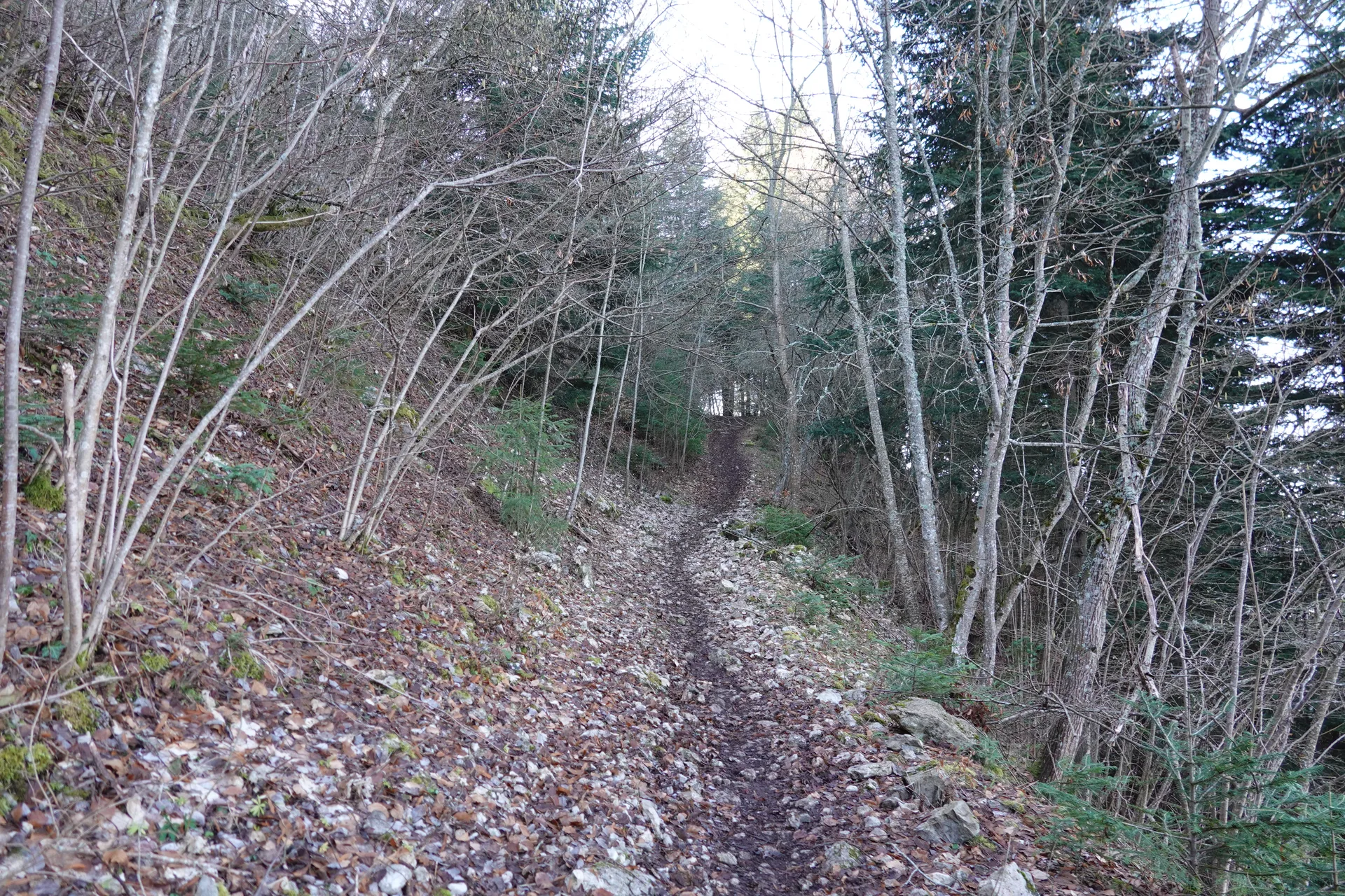 Lac du Mole à La Tour — À 4,1 km du lac