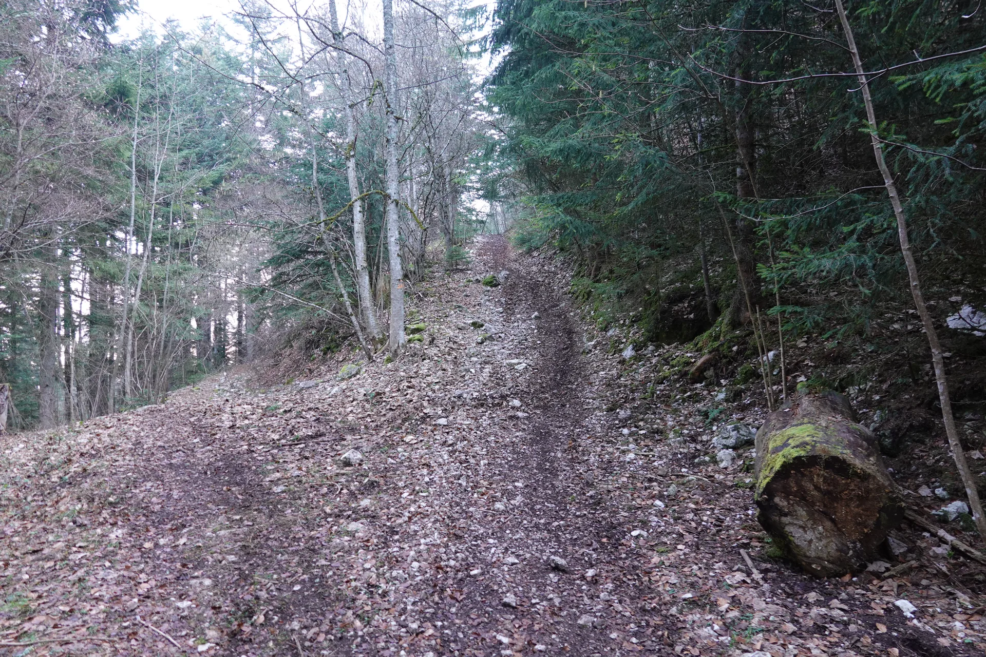 Lac du Mole à La Tour — À 4,1 km du lac