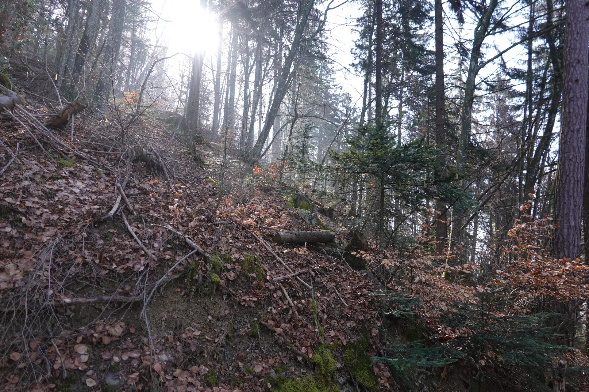 Lac du Mole à La Tour — À 4,2 km du lac