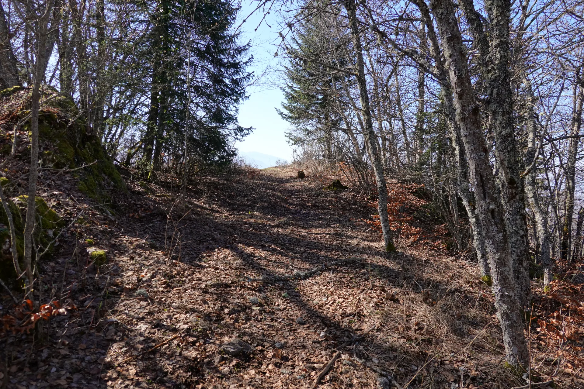 Lac du Mole à La Tour — À 4,2 km du lac