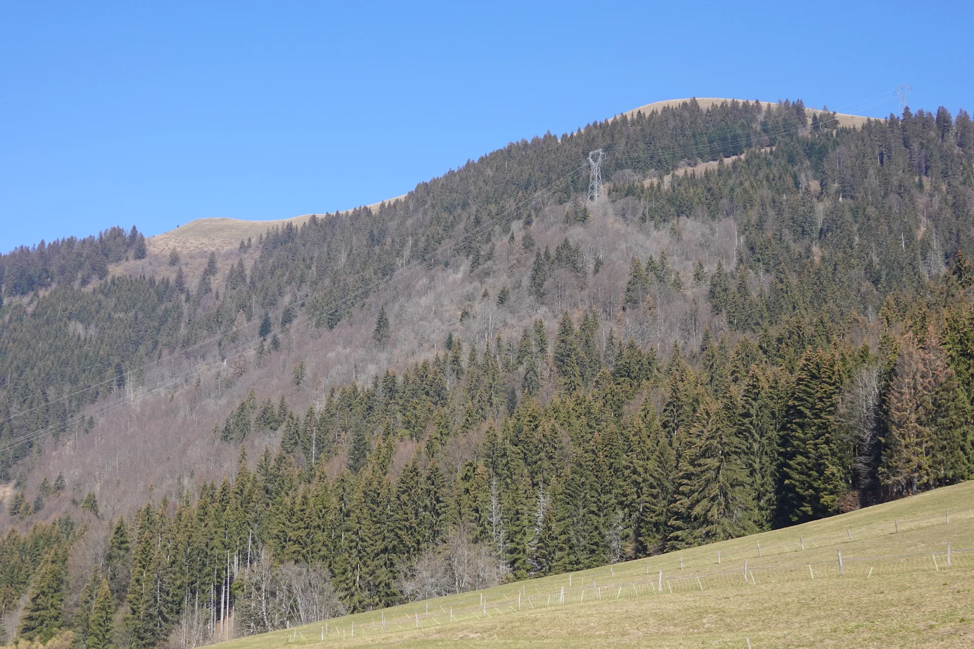 Lac du Mole à La Tour — À 4,2 km du lac