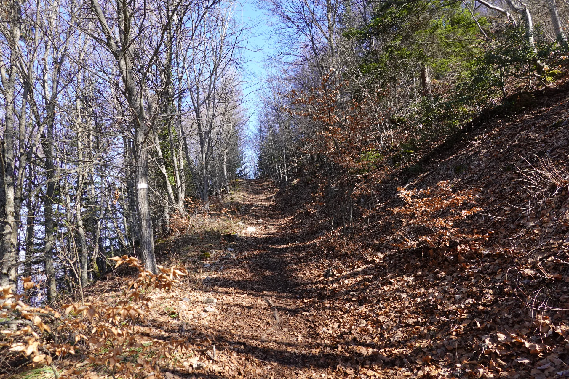 Lac du Mole à La Tour — À 4,2 km du lac