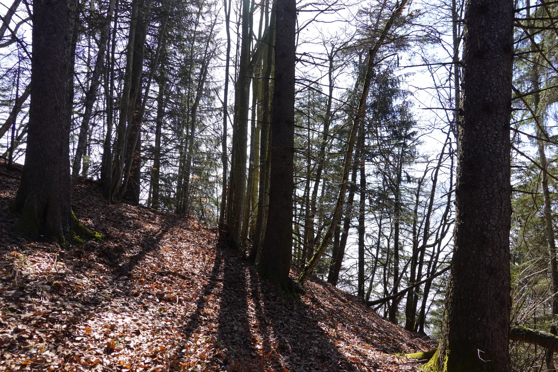 Lac du Mole à La Tour — À 4,3 km du lac
