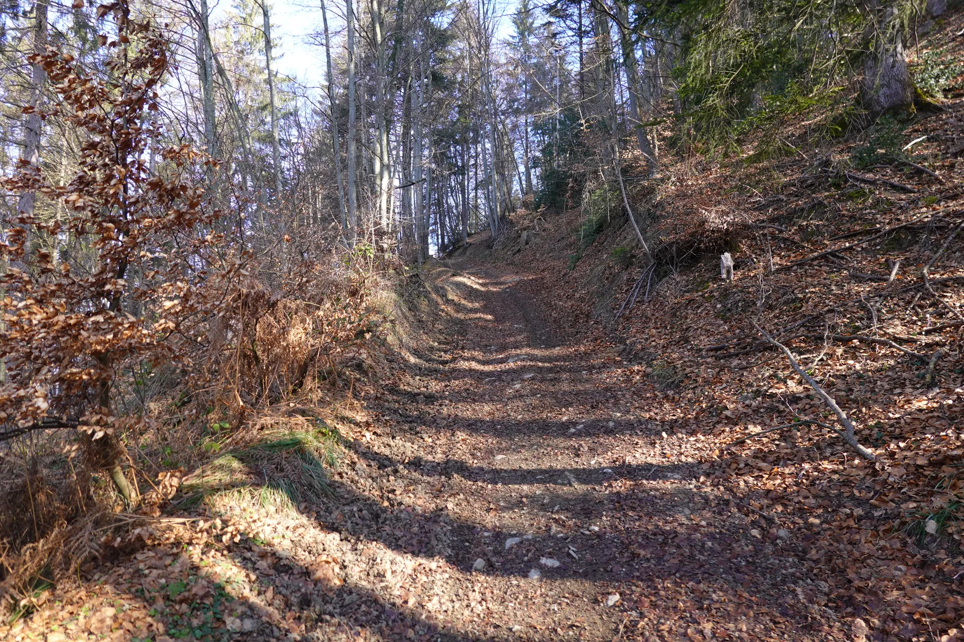 Lac du Mole à La Tour — À 4,3 km du lac