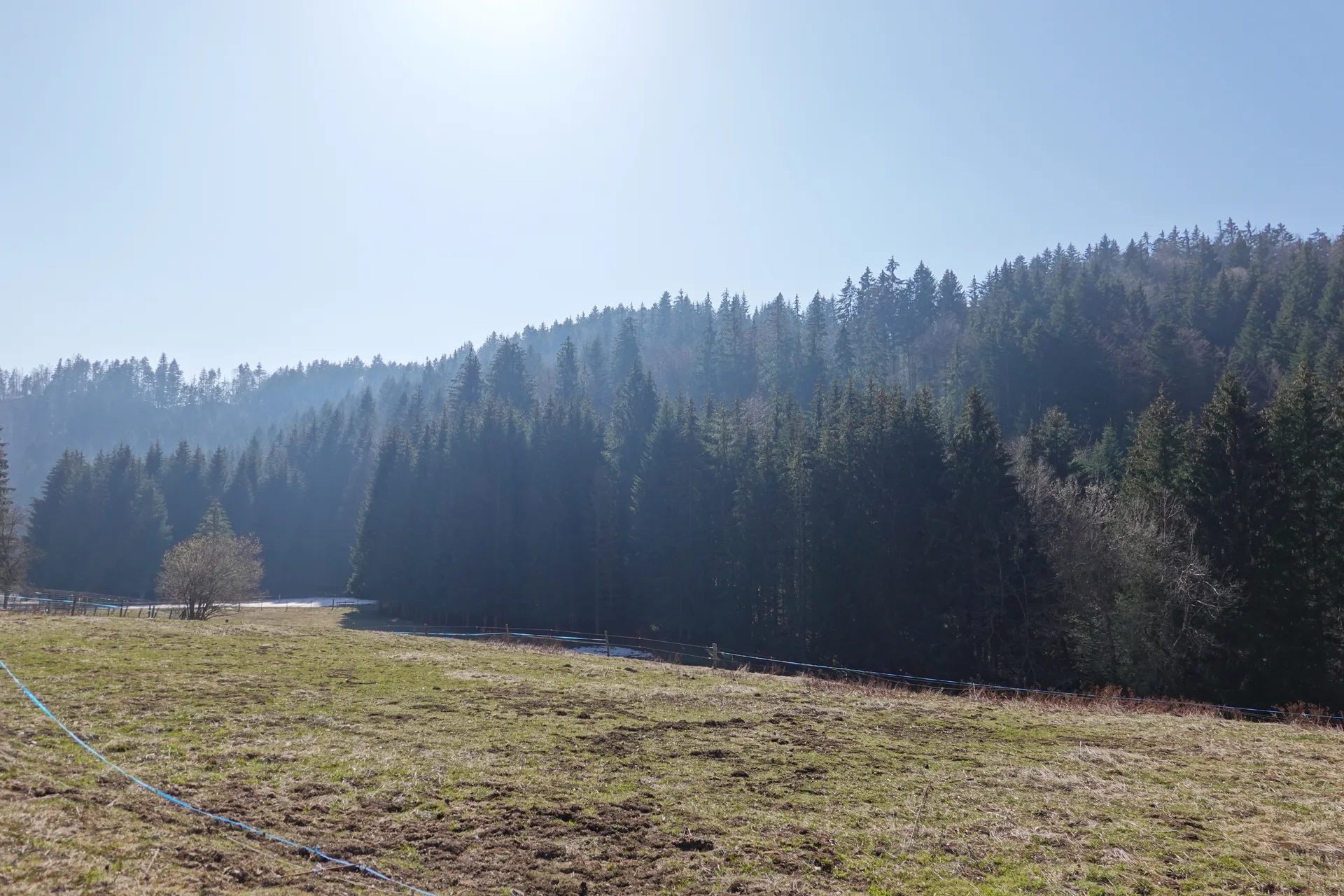 Lac du Mole à La Tour — À 4,3 km du lac