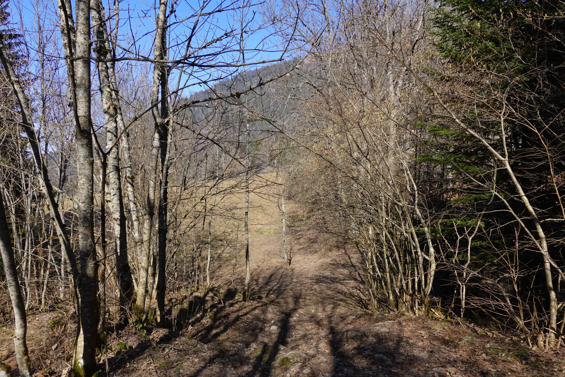 Lac du Mole à La Tour — À 4,3 km du lac