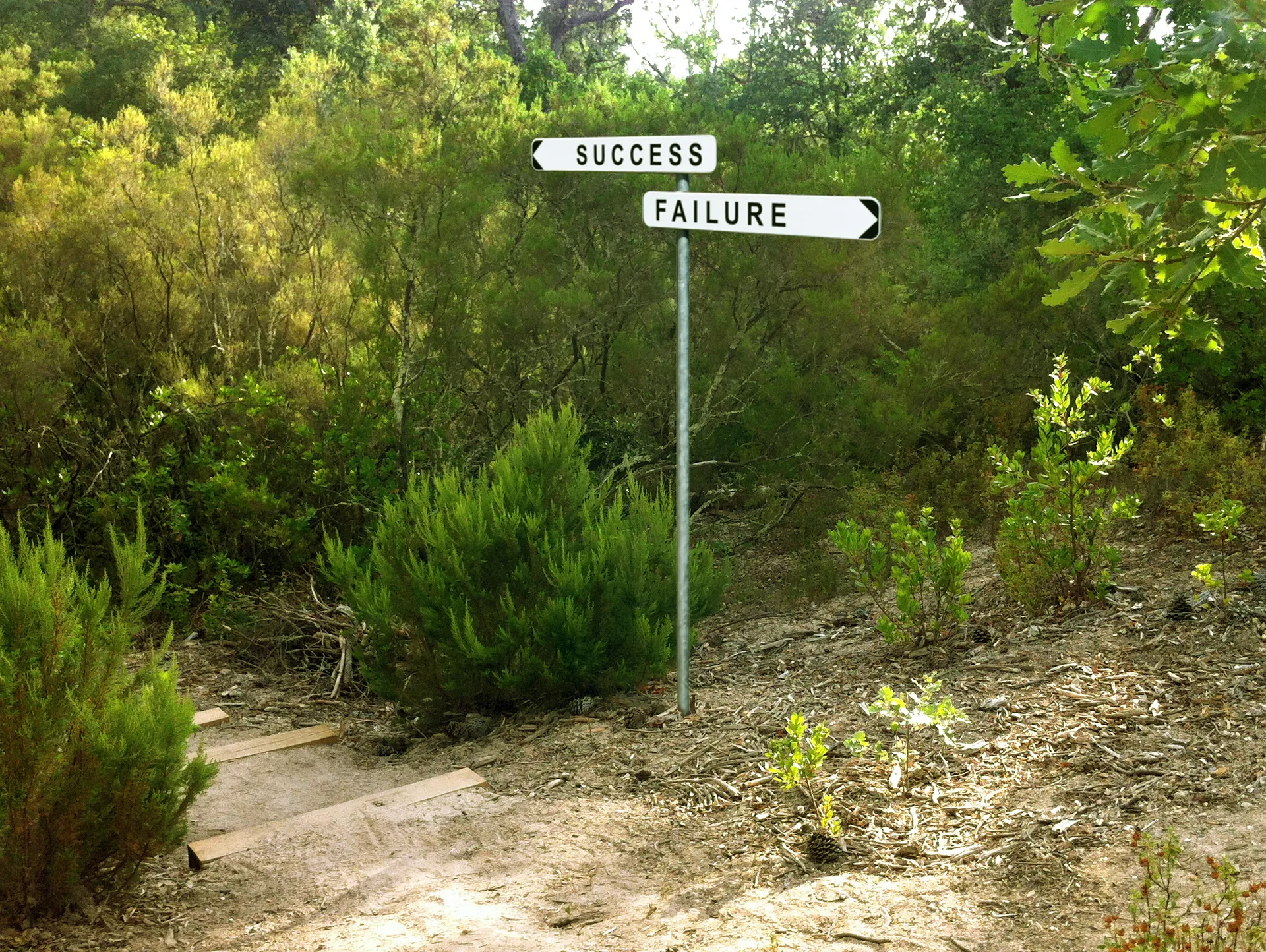 Lac du Muy à Le Muy — À 4,3 km du lac