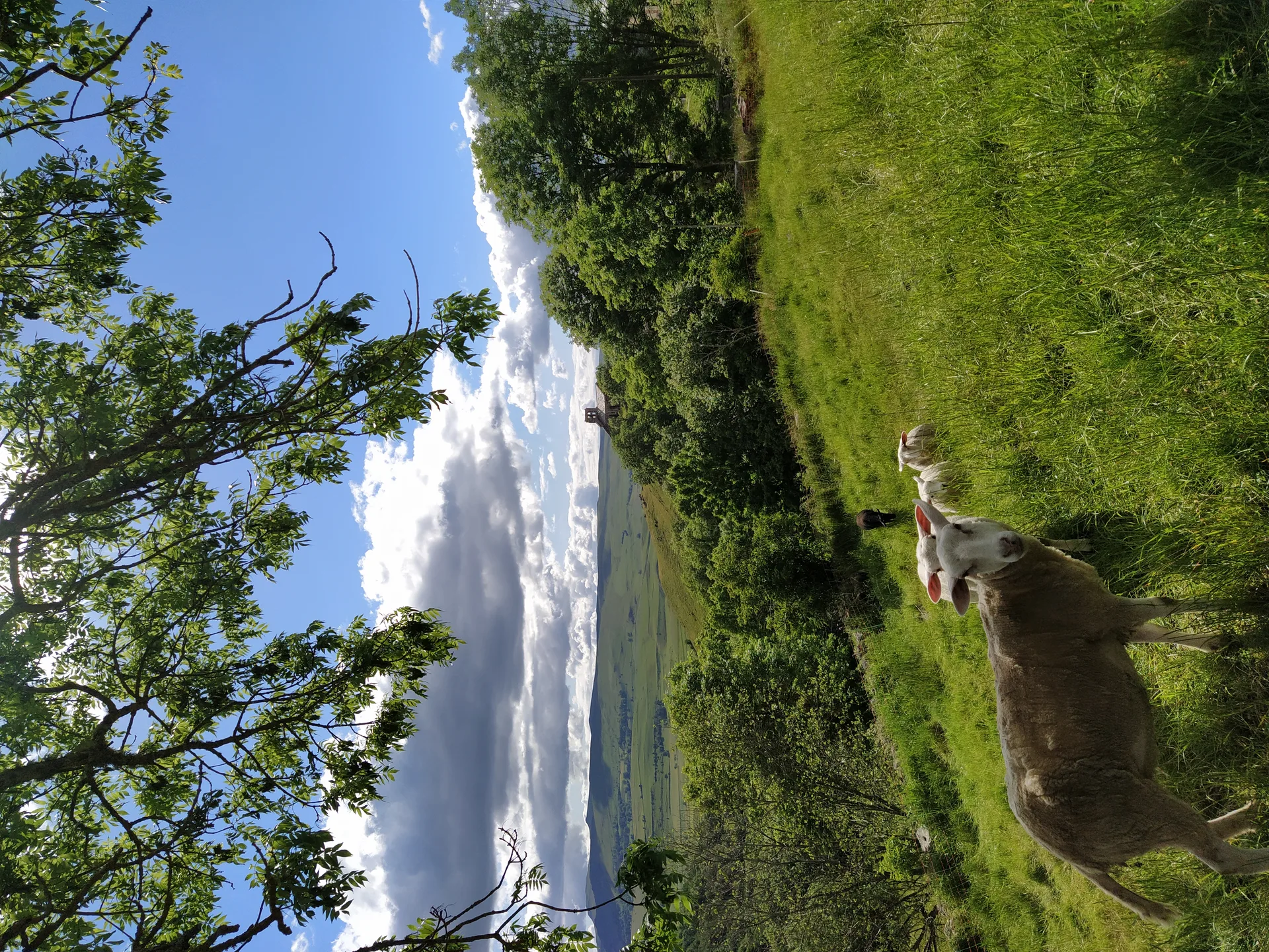 Lac du Pecher à Chavagnac — À 2,2 km du lac