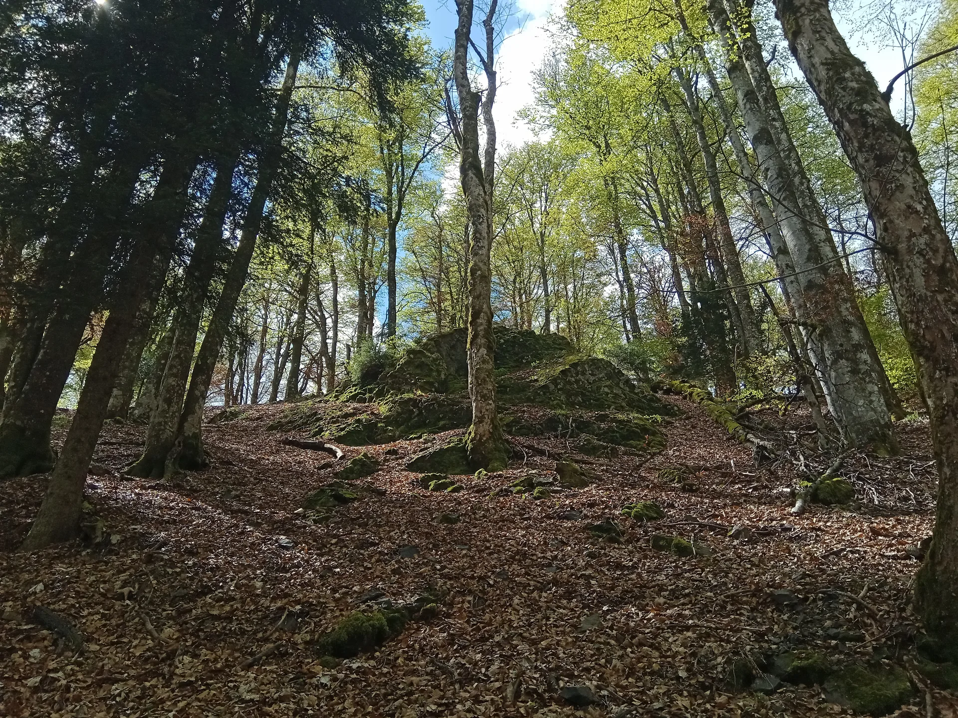 Lac du Petit Neuweiher à Rimbach-près-Masevaux — À 999 m du lac
