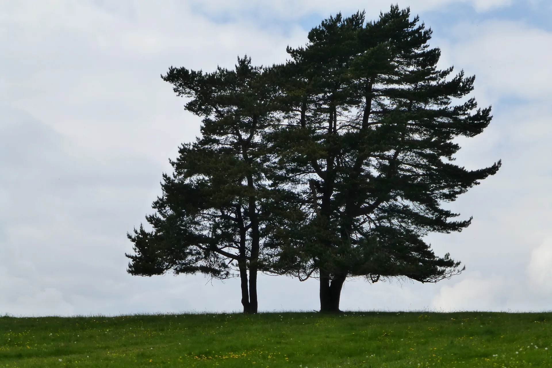 Lac du Petit Neuweiher à Rimbach-près-Masevaux — À 1,3 km du lac