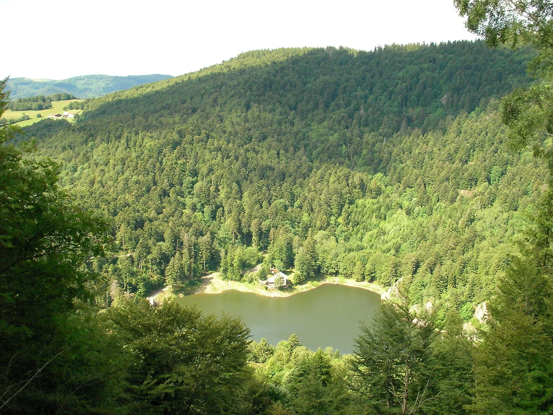 Lac du Petit Neuweiher à Rimbach-près-Masevaux — À 227 m du lac
