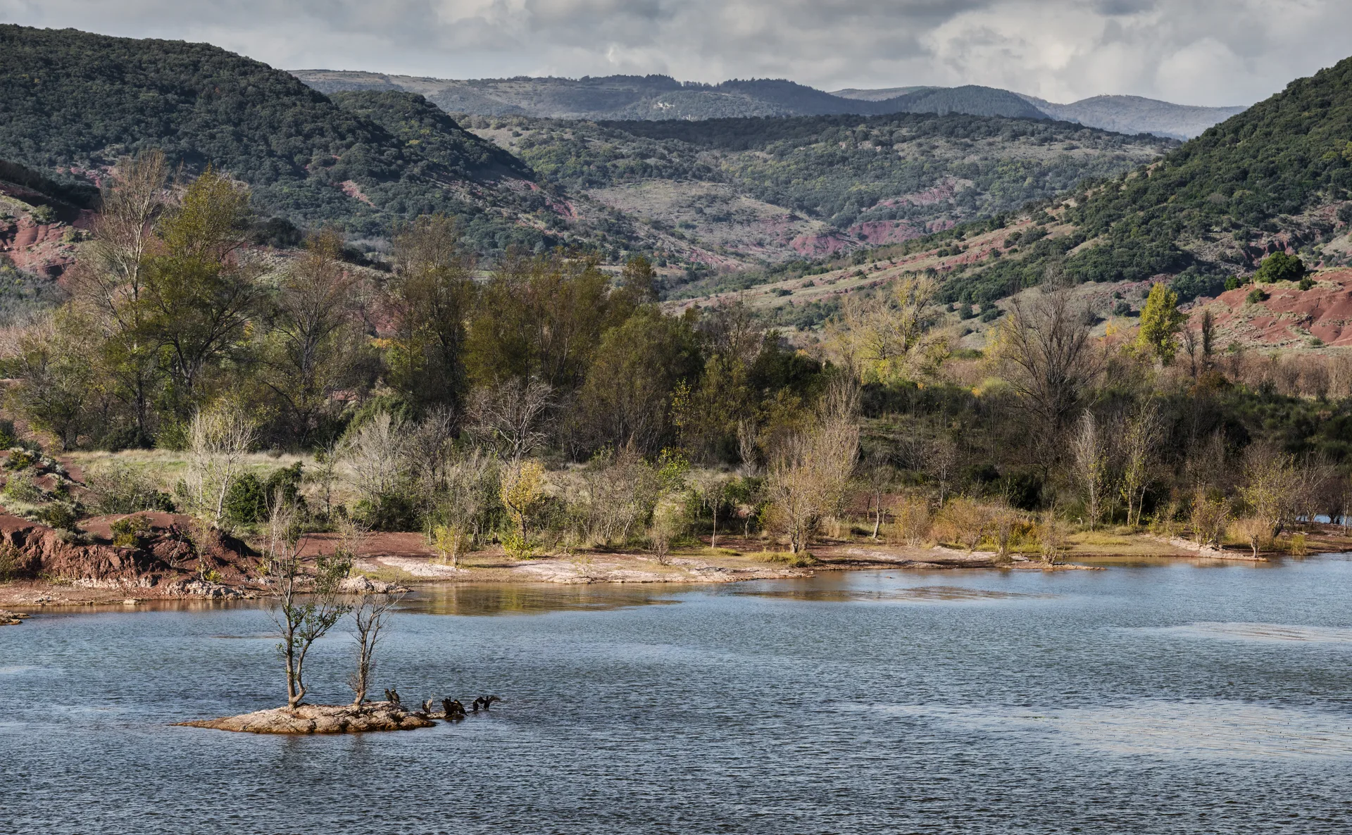 Lac du Salagou Baie de Plots à Liausson — À 1,2 km du lac