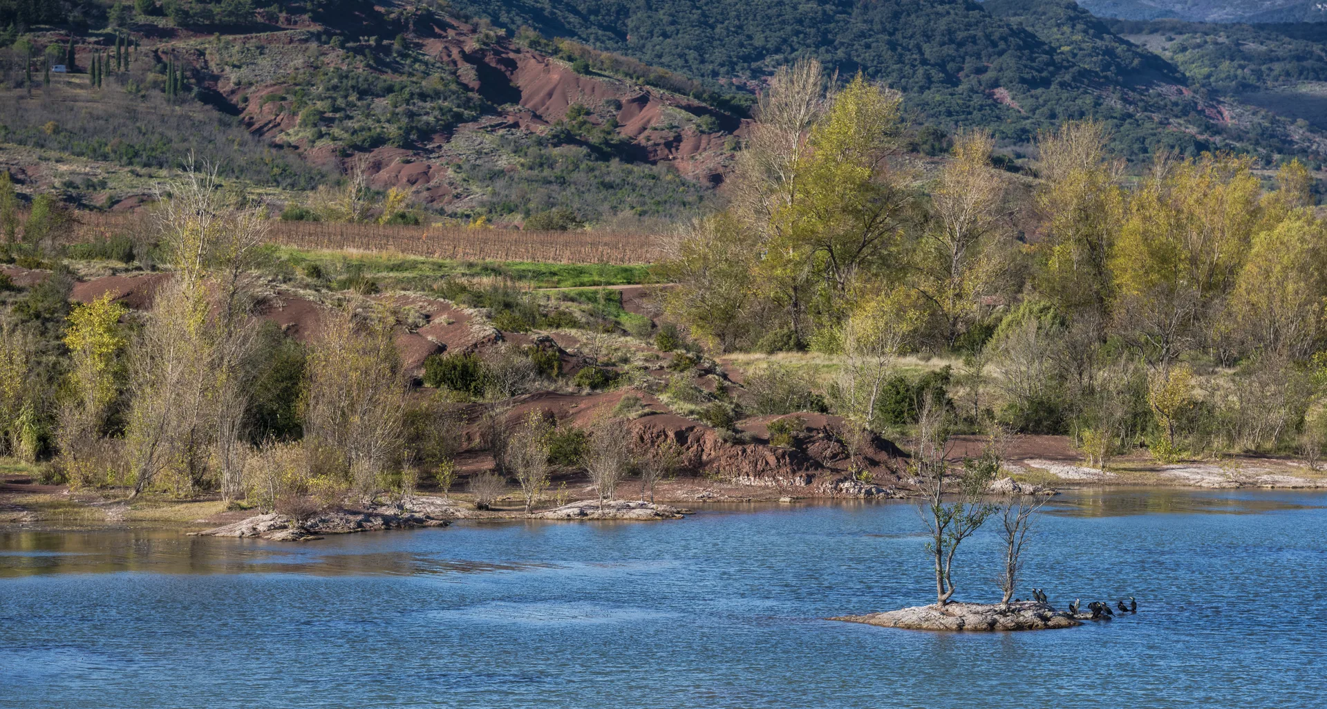 Lac du Salagou Baie de Plots à Liausson — À 1,2 km du lac