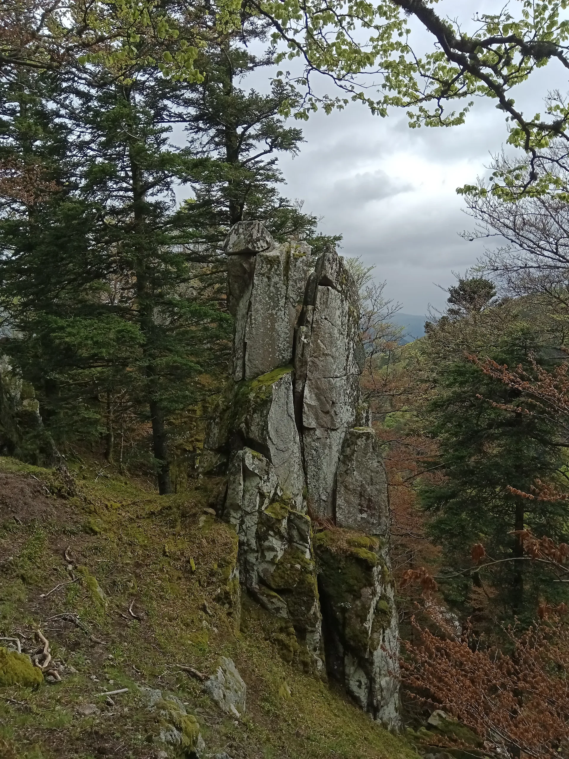Lac du Schiessrothried à Metzeral — À 432 m du lac
