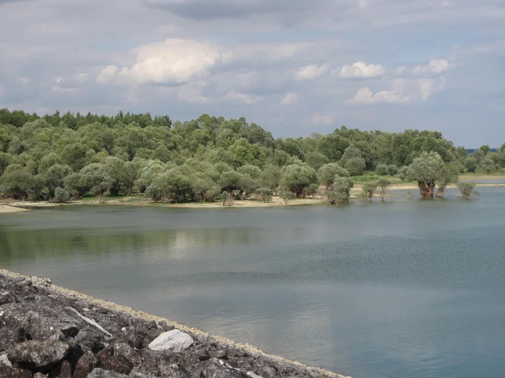Lac du Temple, Piney