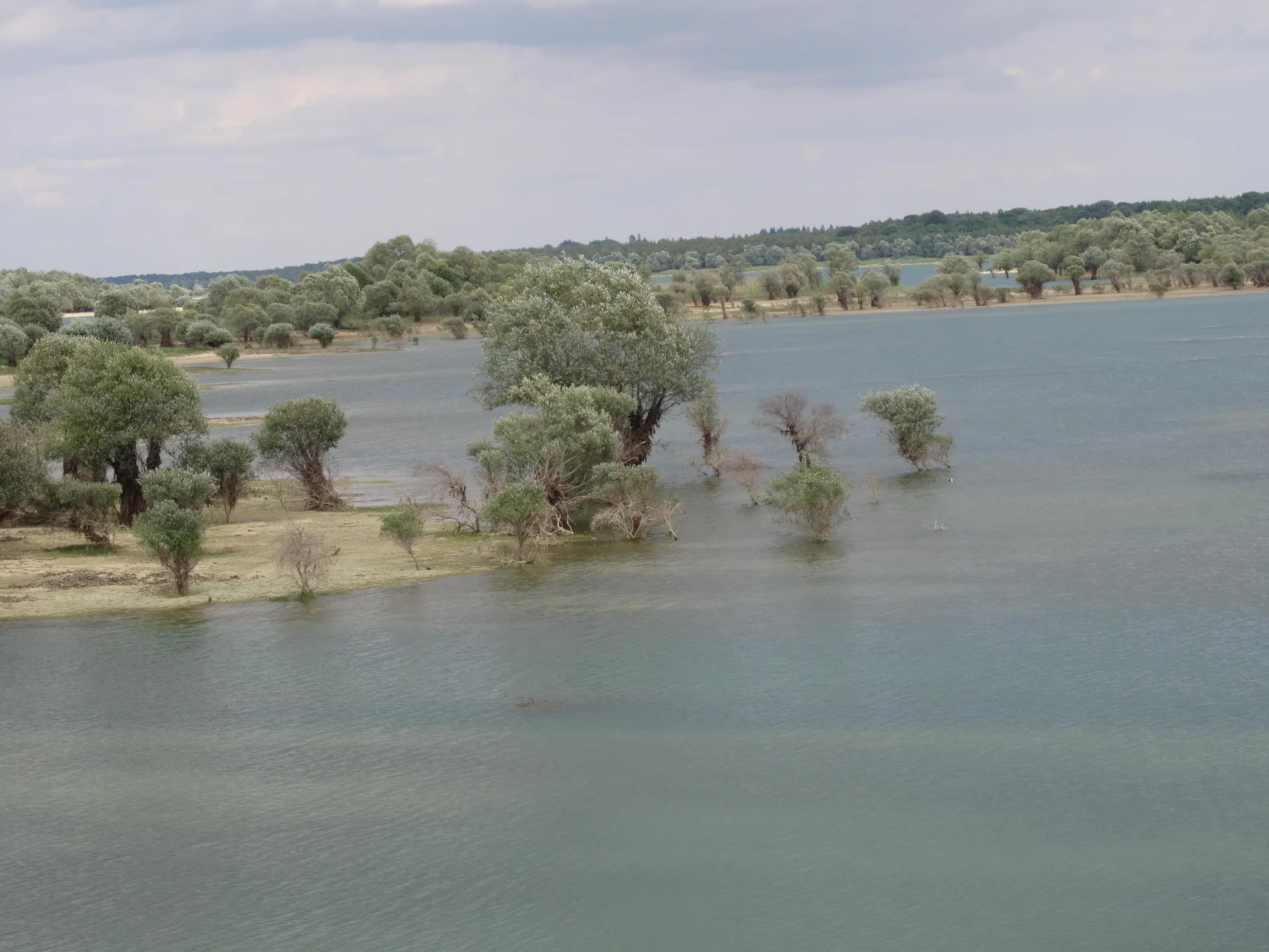 Lac du Temple à Piney — À 269 m du lac