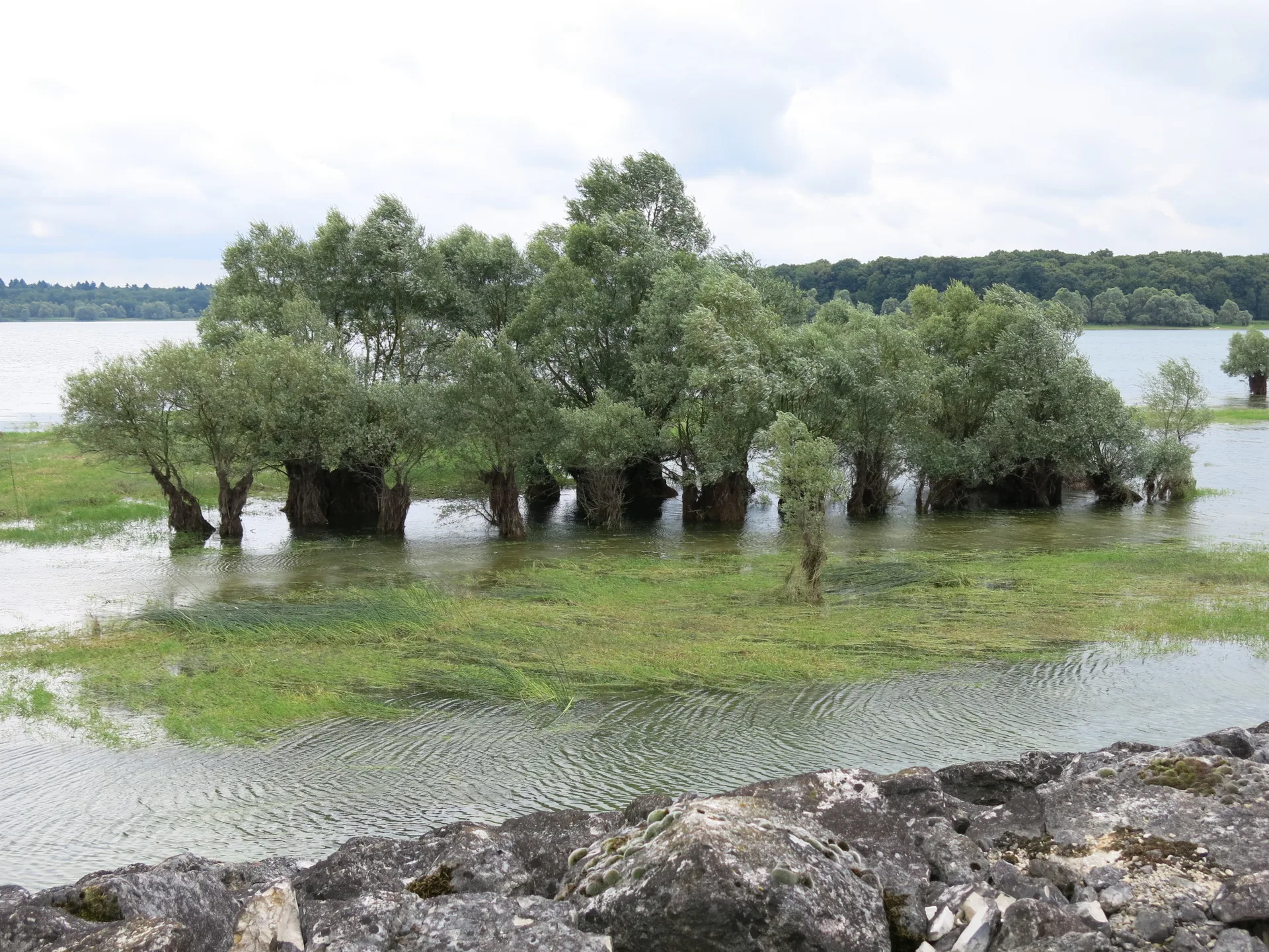 Lac du Temple à Piney — À 1,9 km du lac