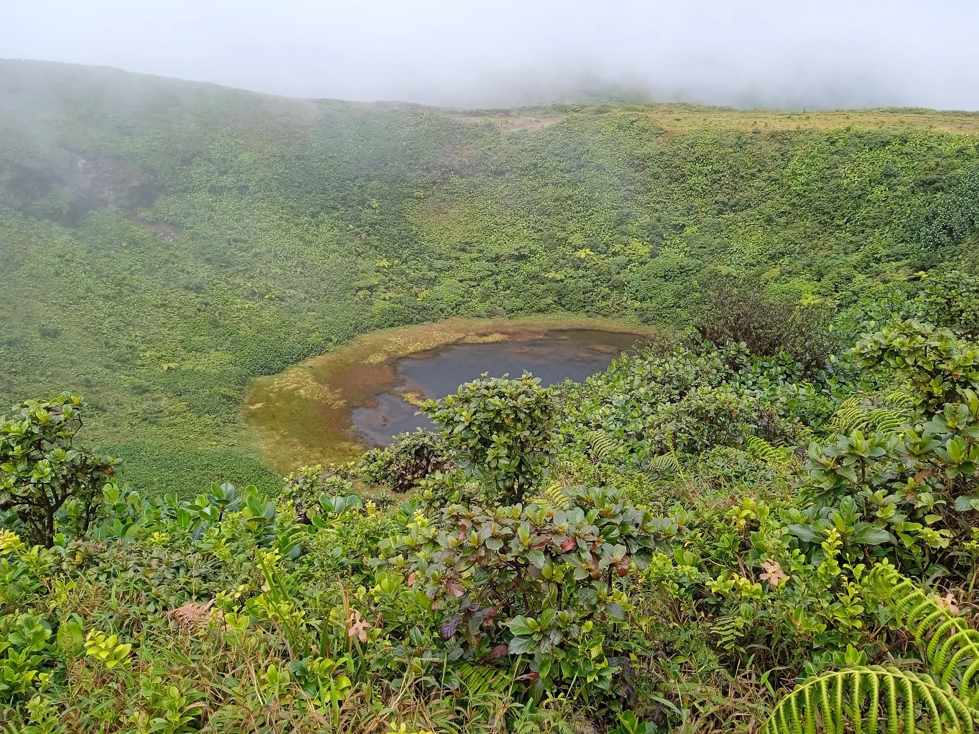 Lac Flammarion à Gourbeyre — Sur le lac