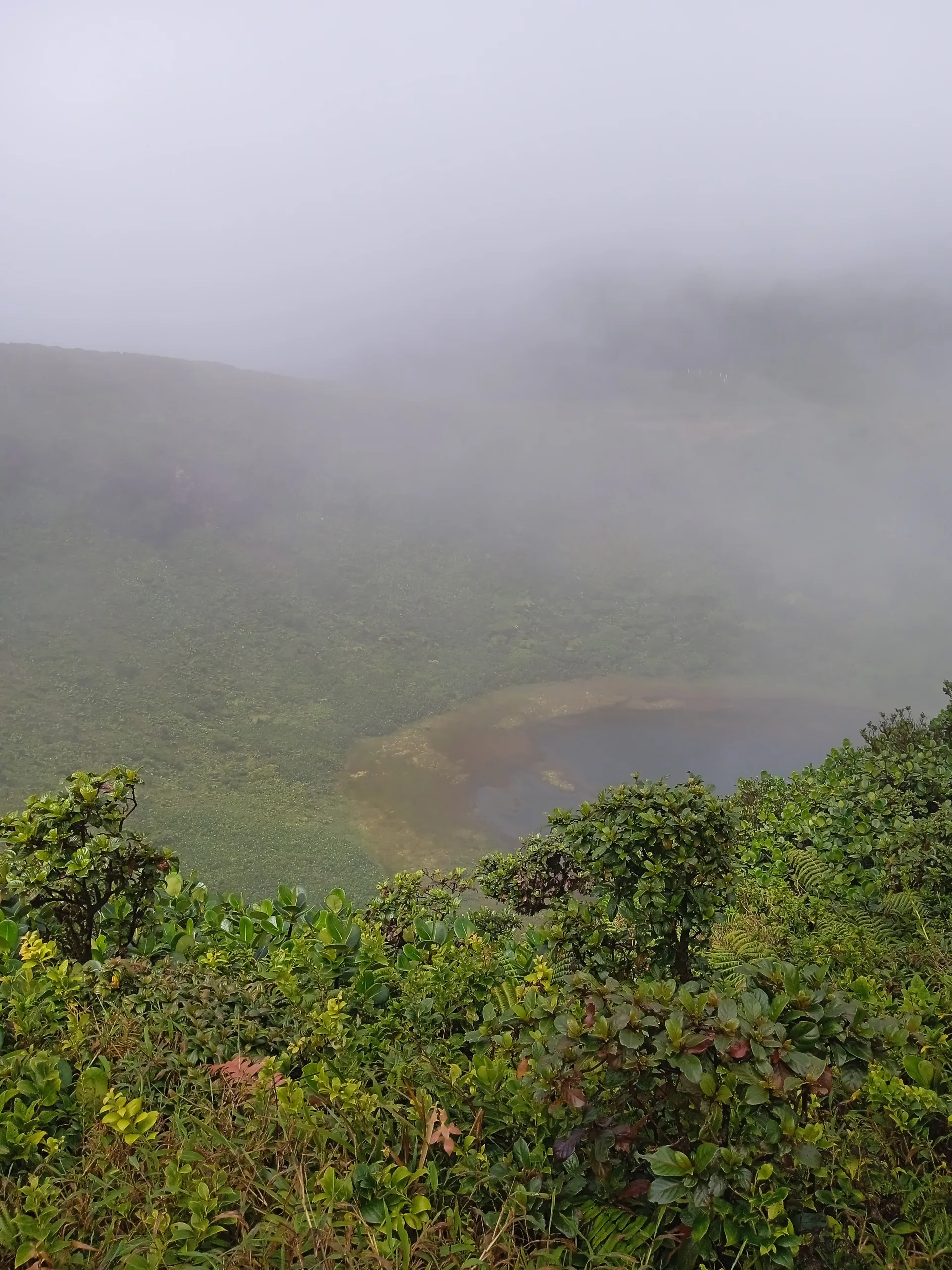 Lac Flammarion à Gourbeyre — Sur le lac
