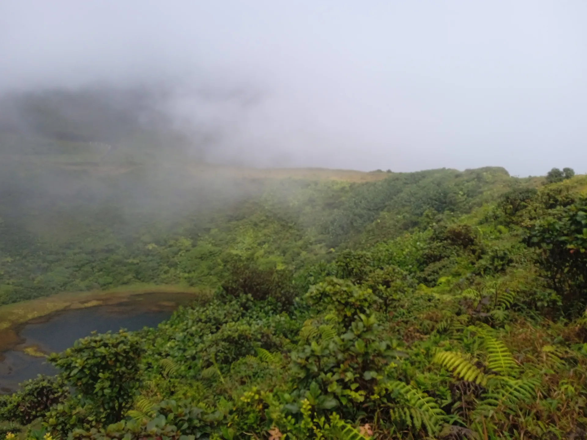 Lac Flammarion à Gourbeyre — Sur le lac