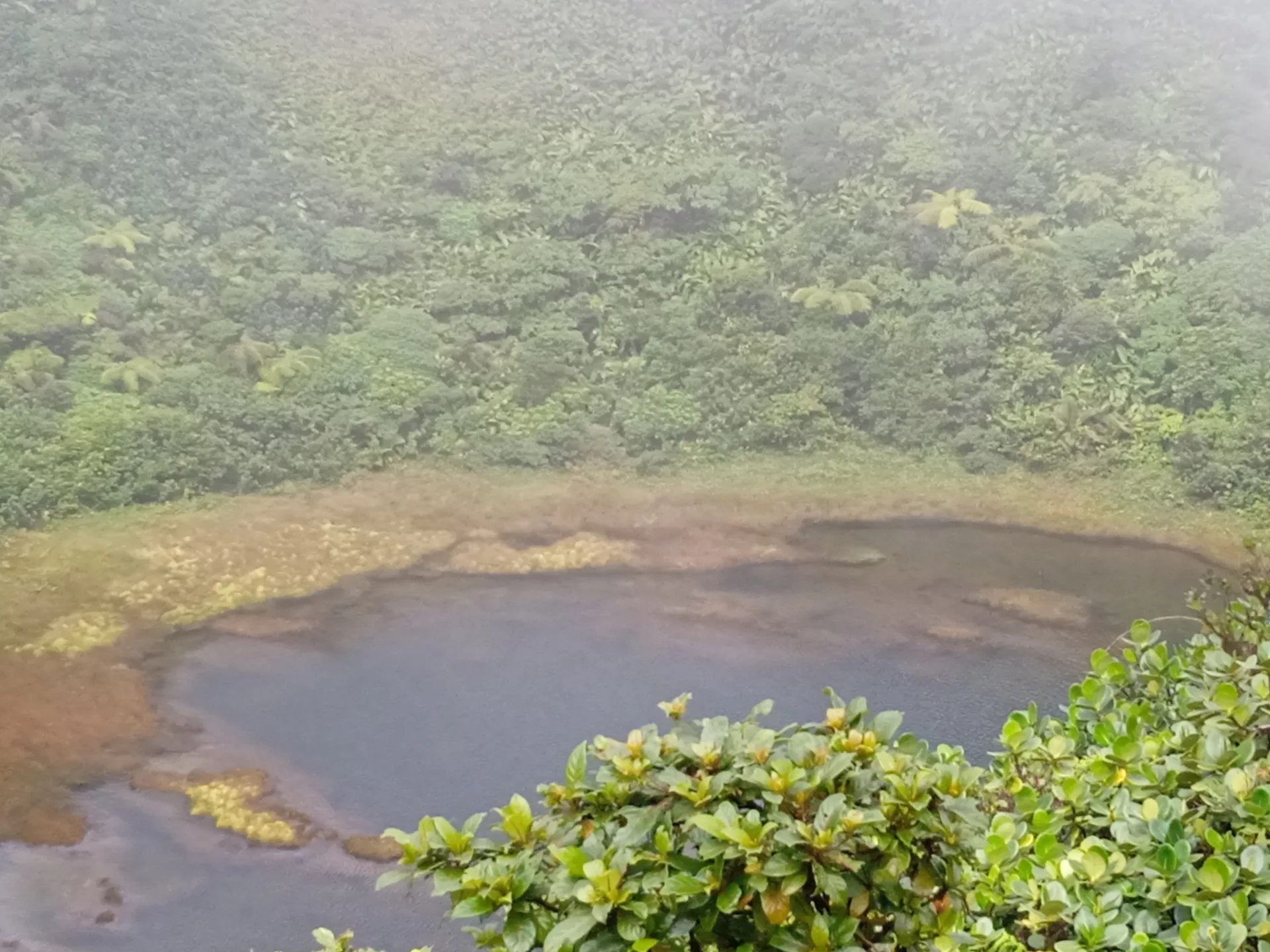 Lac Flammarion à Gourbeyre — Sur le lac