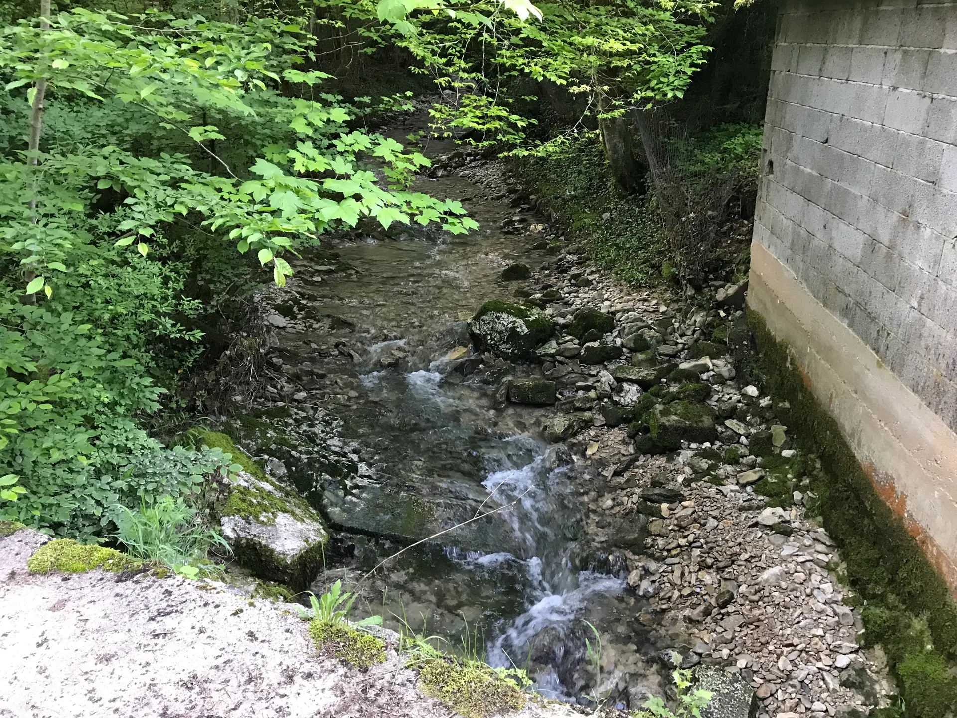 Lac Genin à Charix — À 2,8 km du lac