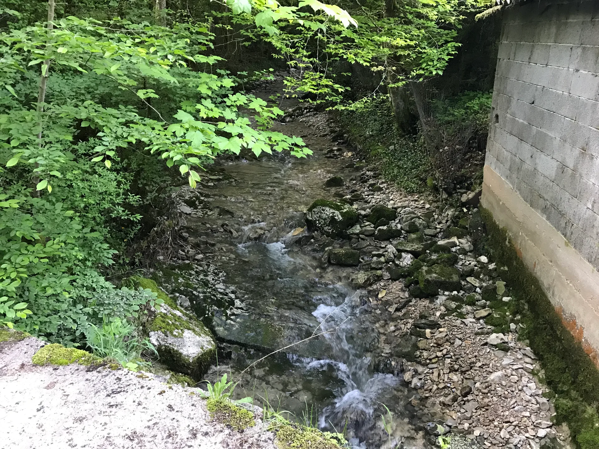 Lac Genin à Charix — À 2,8 km du lac