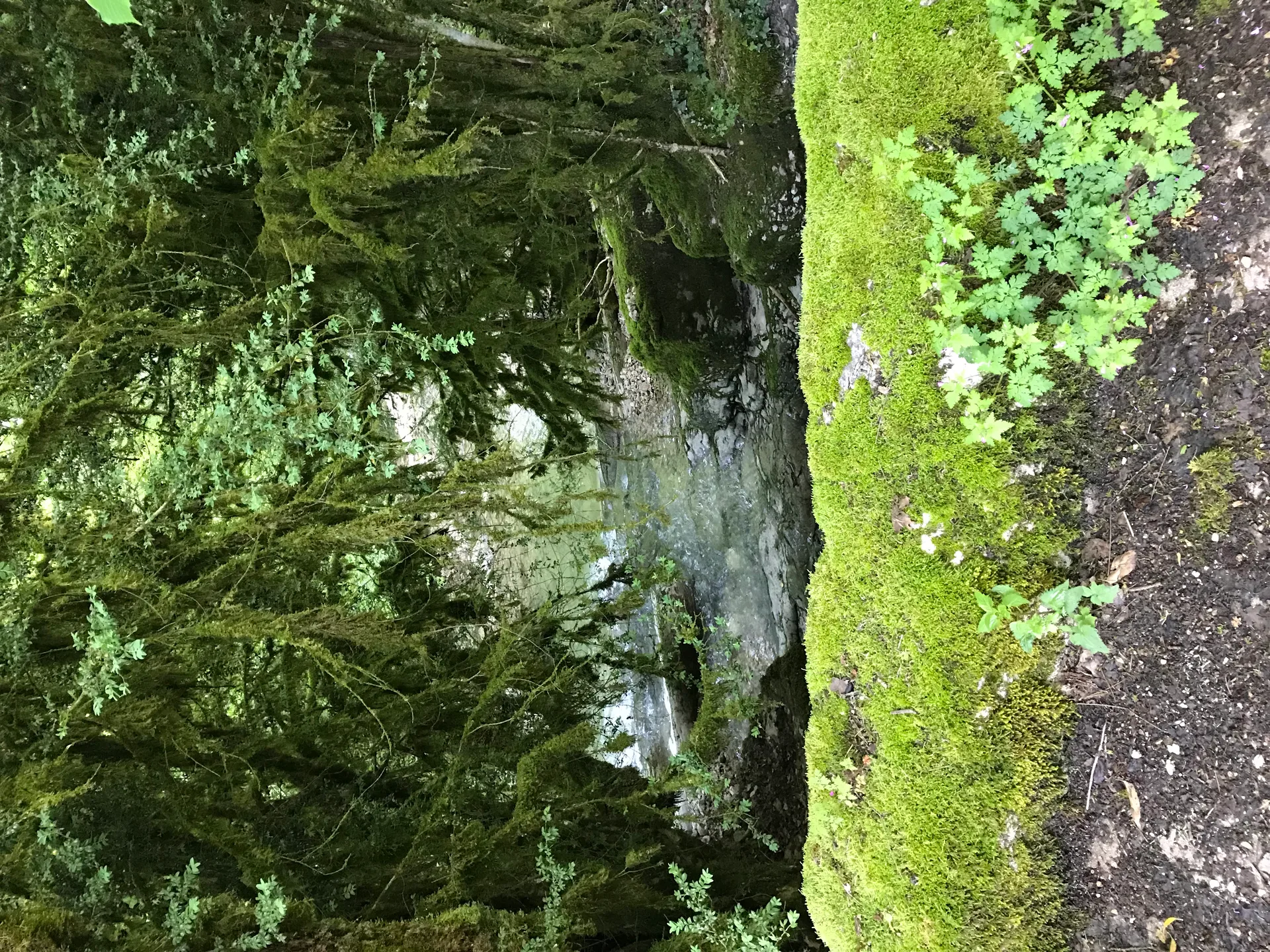 Lac Genin à Charix — À 2,8 km du lac