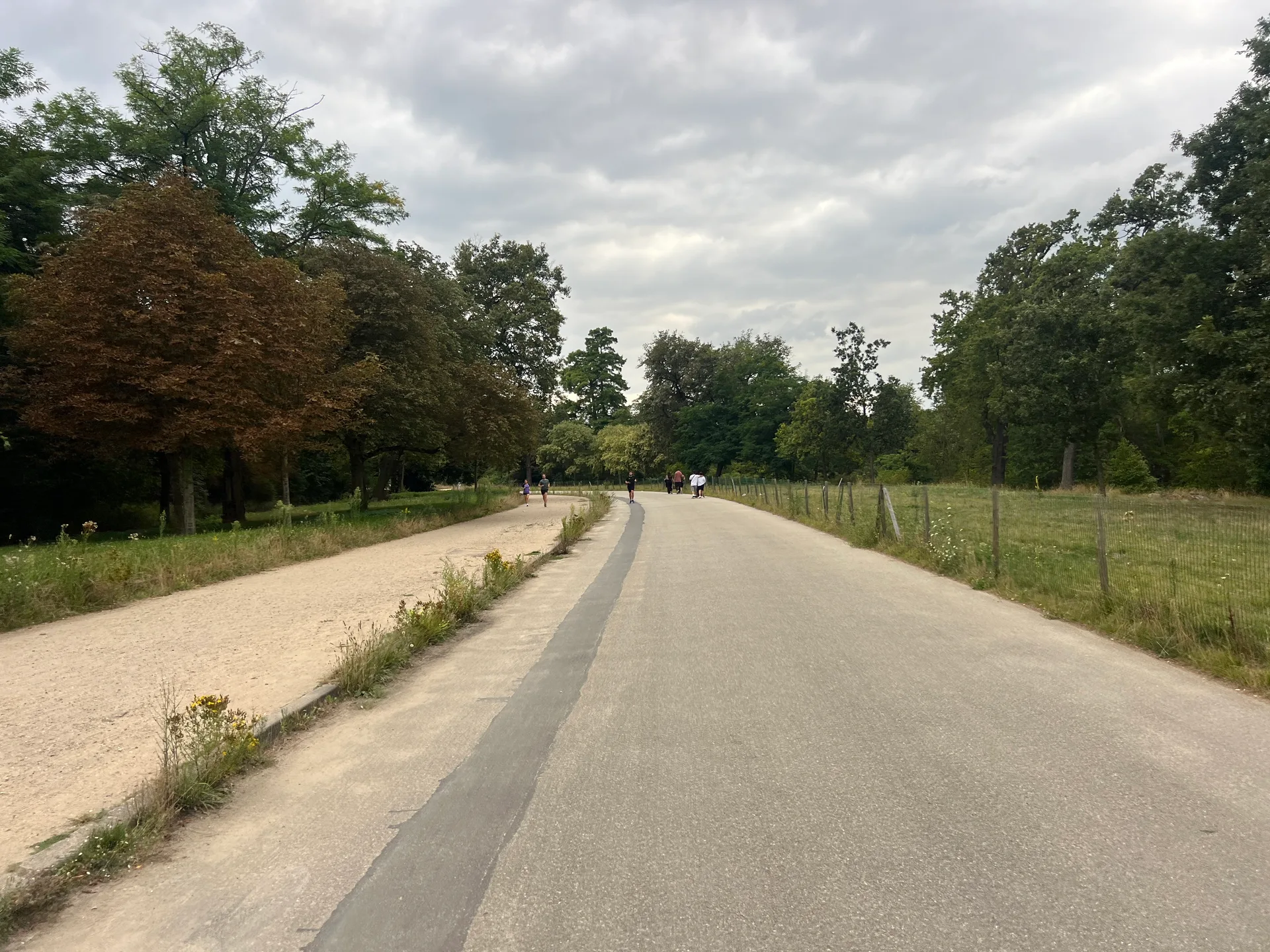 Lac Inférieur à Paris — Sur le lac