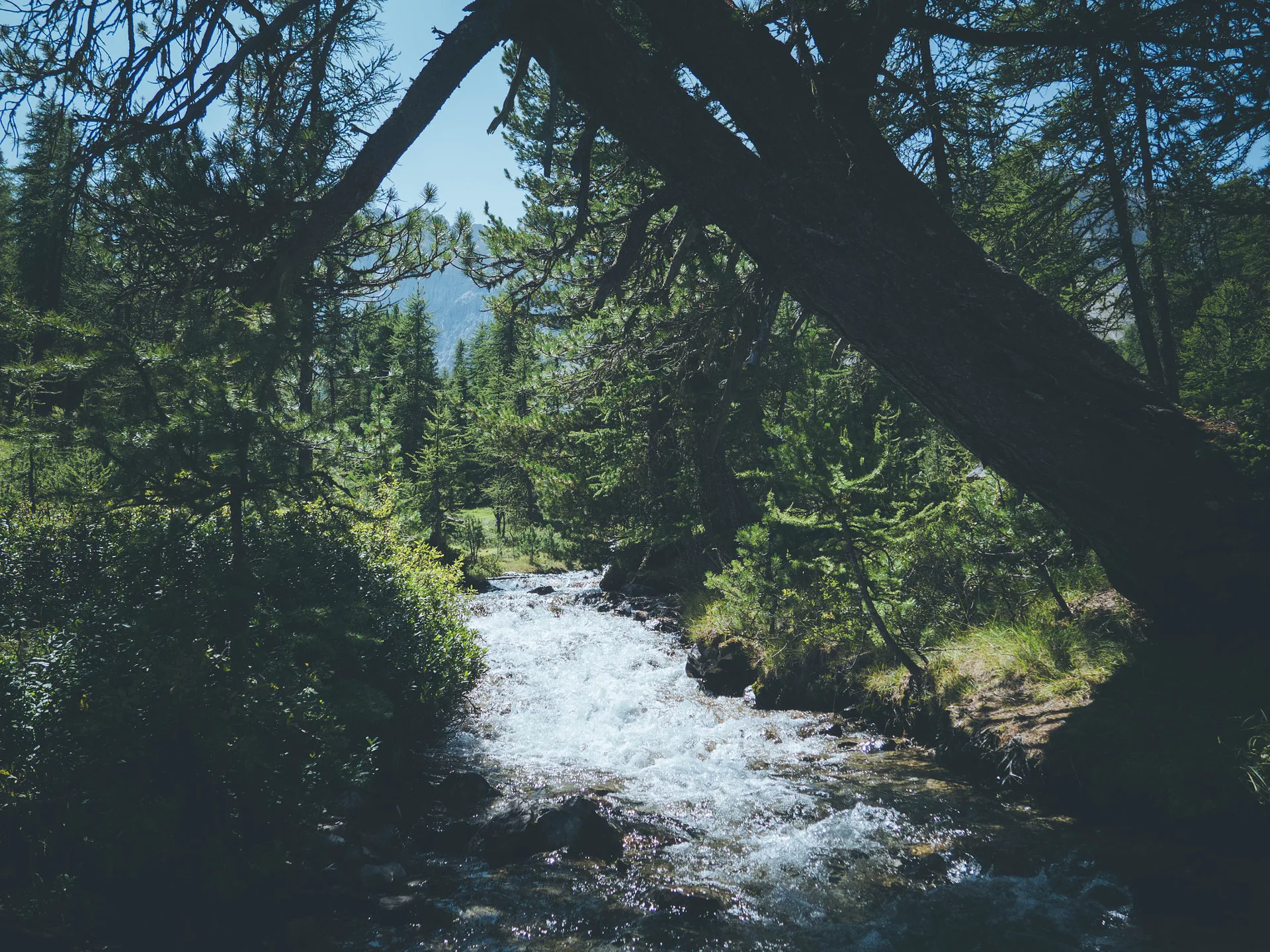 lac Miroir à Ceillac — À 4,8 km du lac
