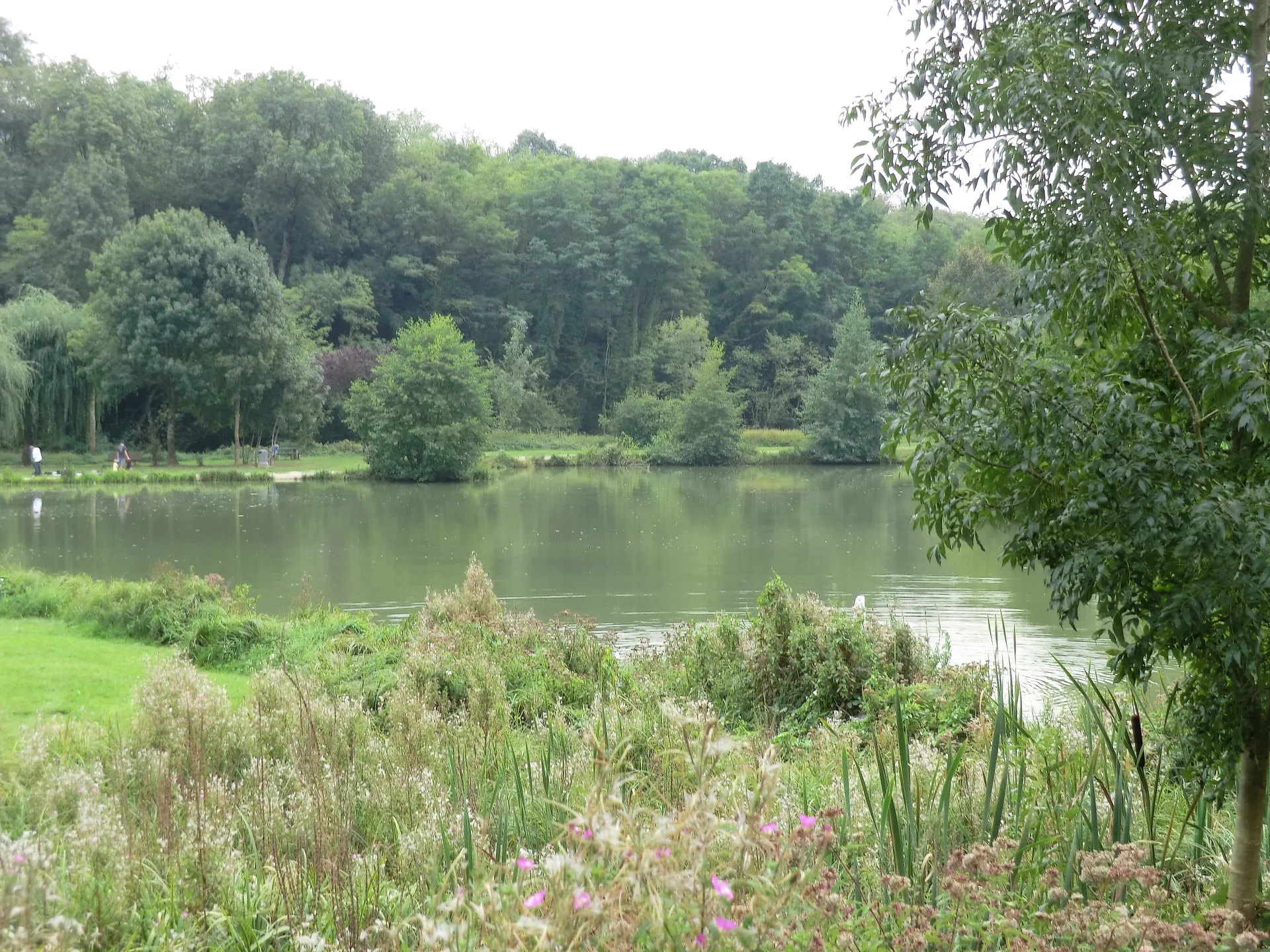 Lac Neyton à Dagneux — Sur le lac