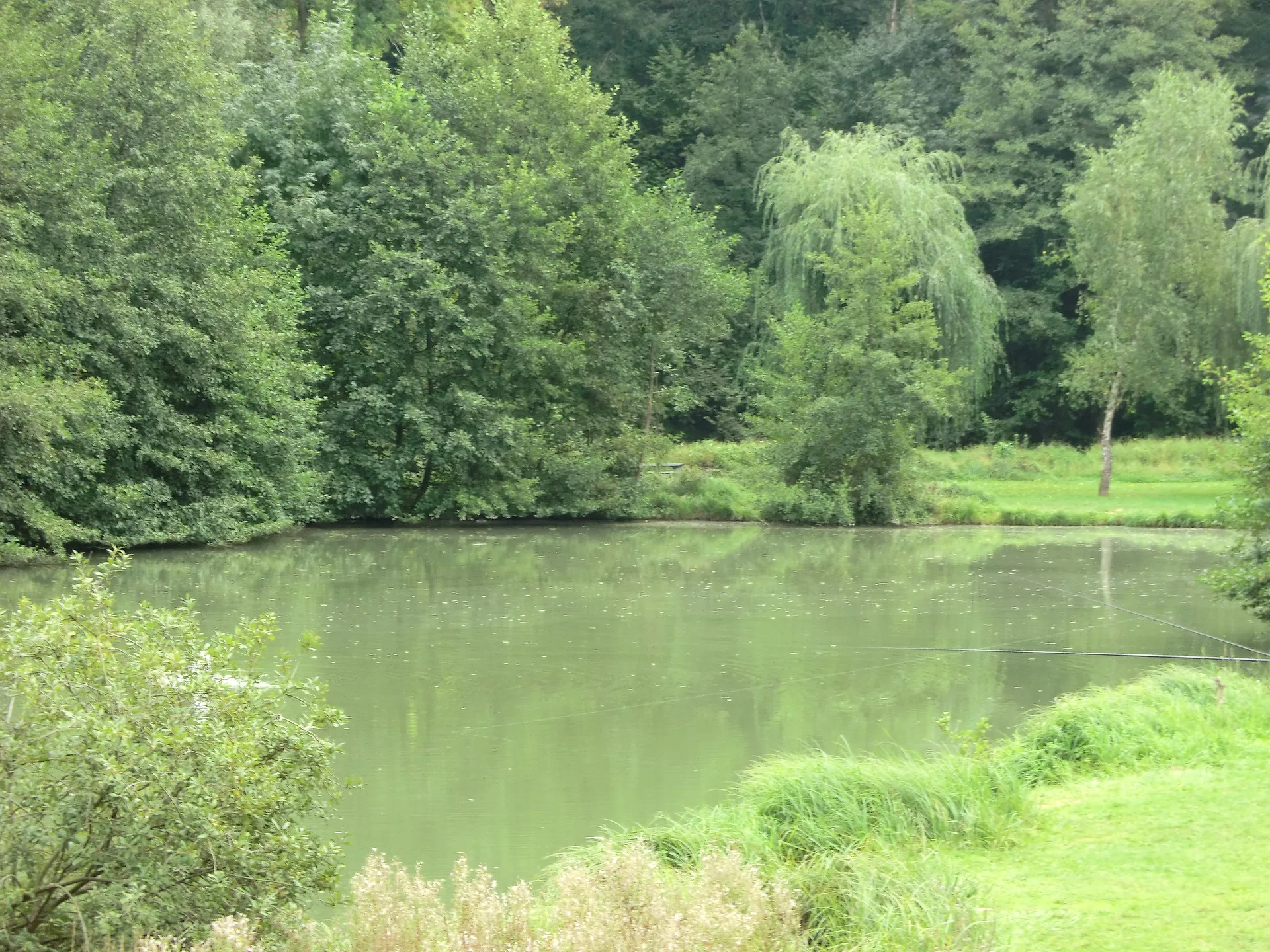 Lac Neyton à Dagneux — Sur le lac