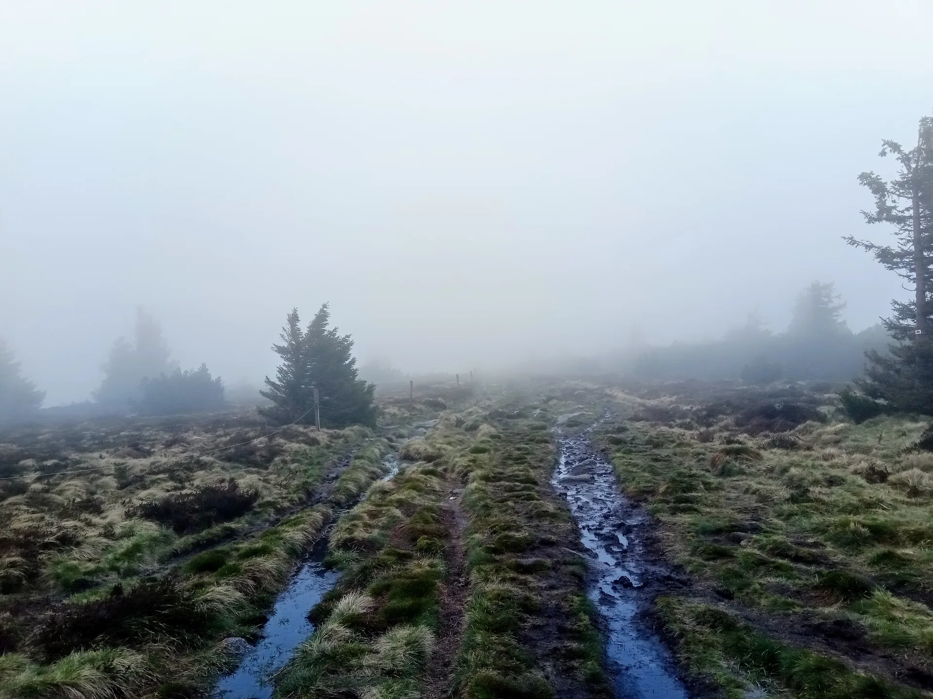 Lac Noir à Orbey — À 1,5 km du lac