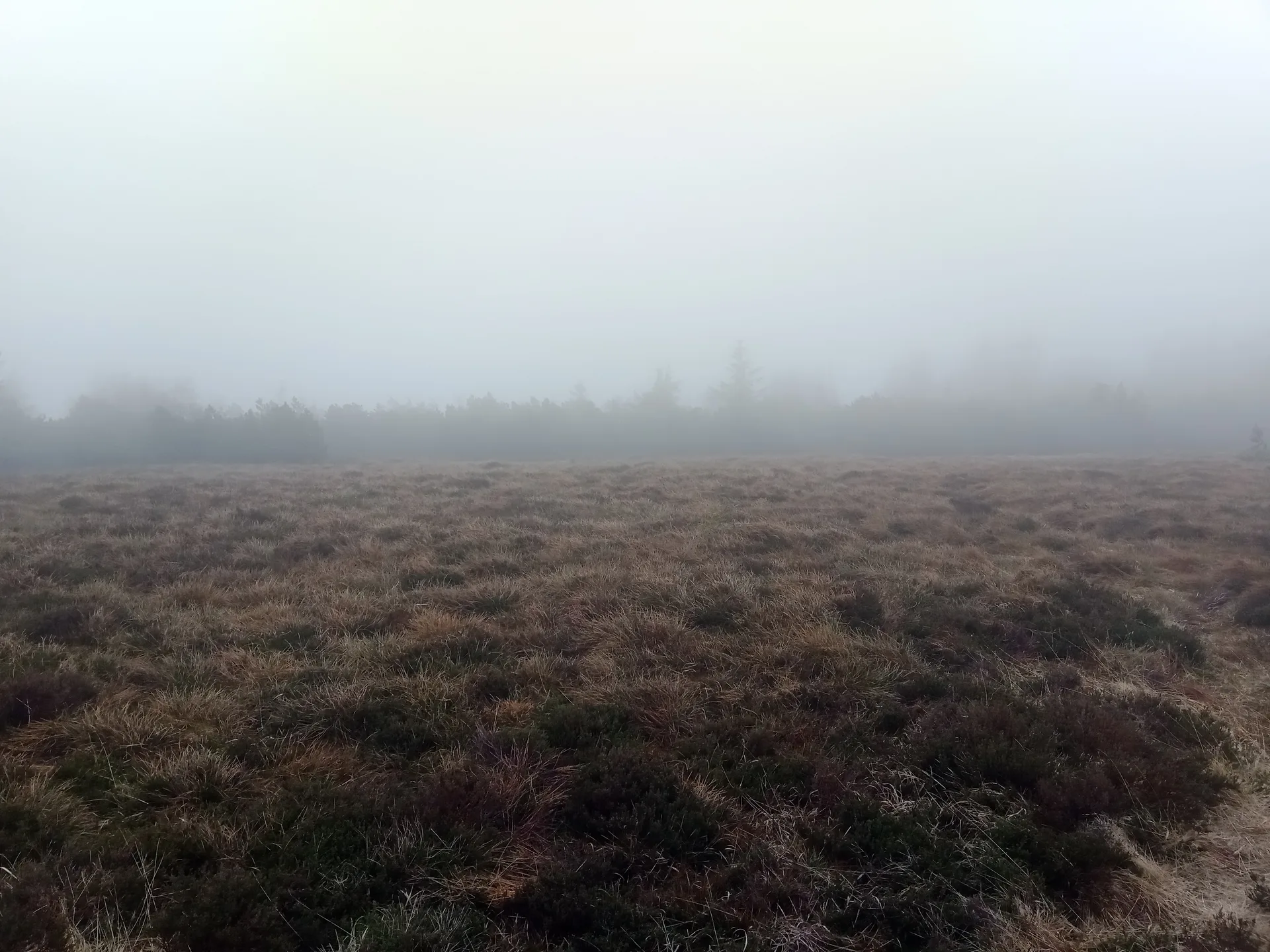 Lac Noir à Orbey — À 1,5 km du lac