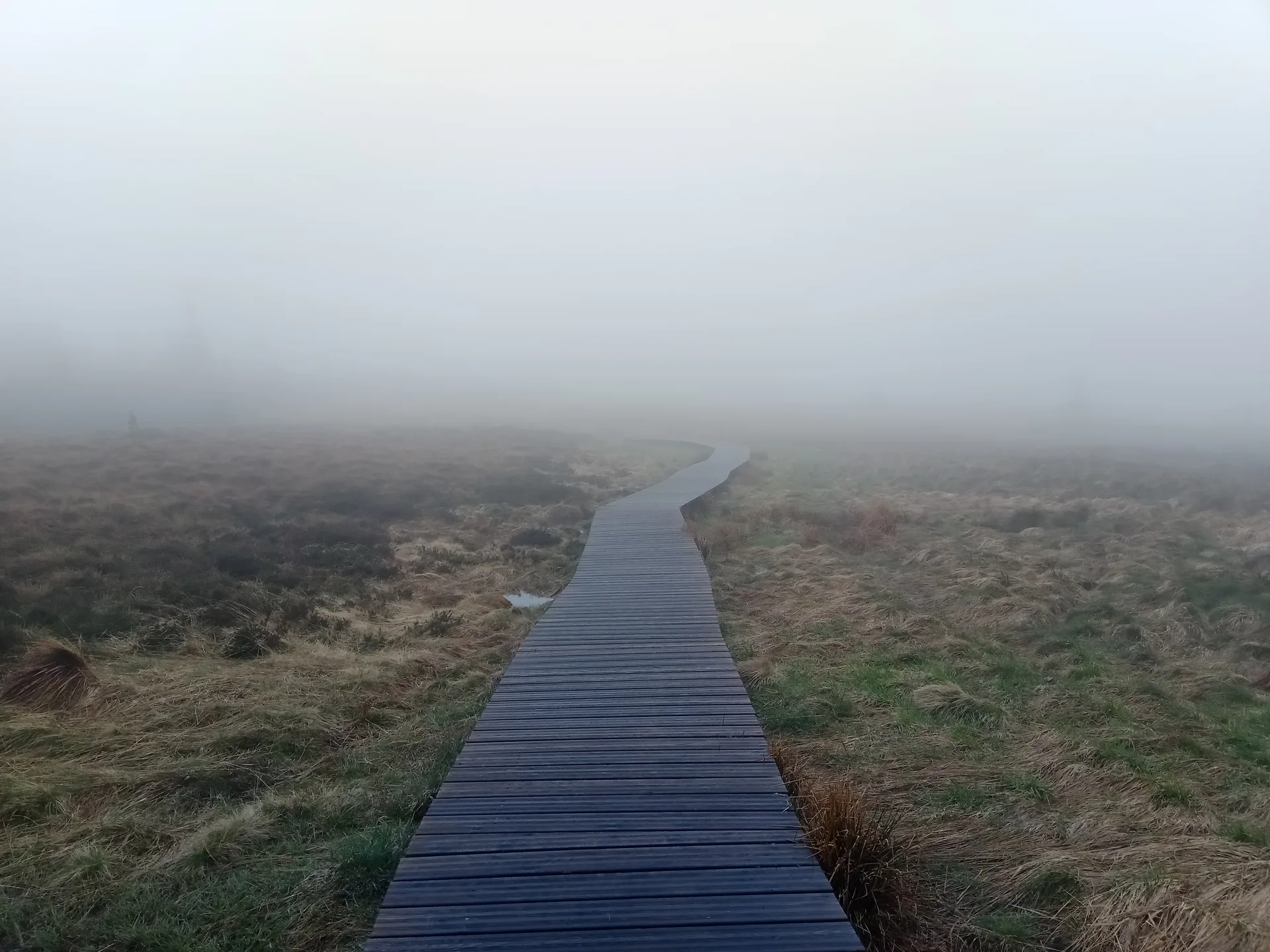 Lac Noir à Orbey — À 1,5 km du lac