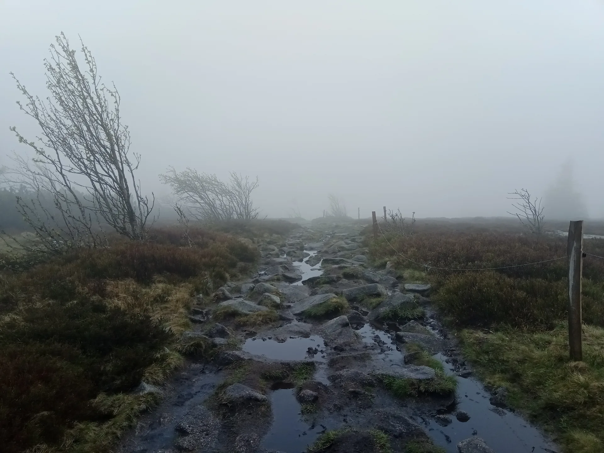 Lac Noir à Orbey — À 1,5 km du lac