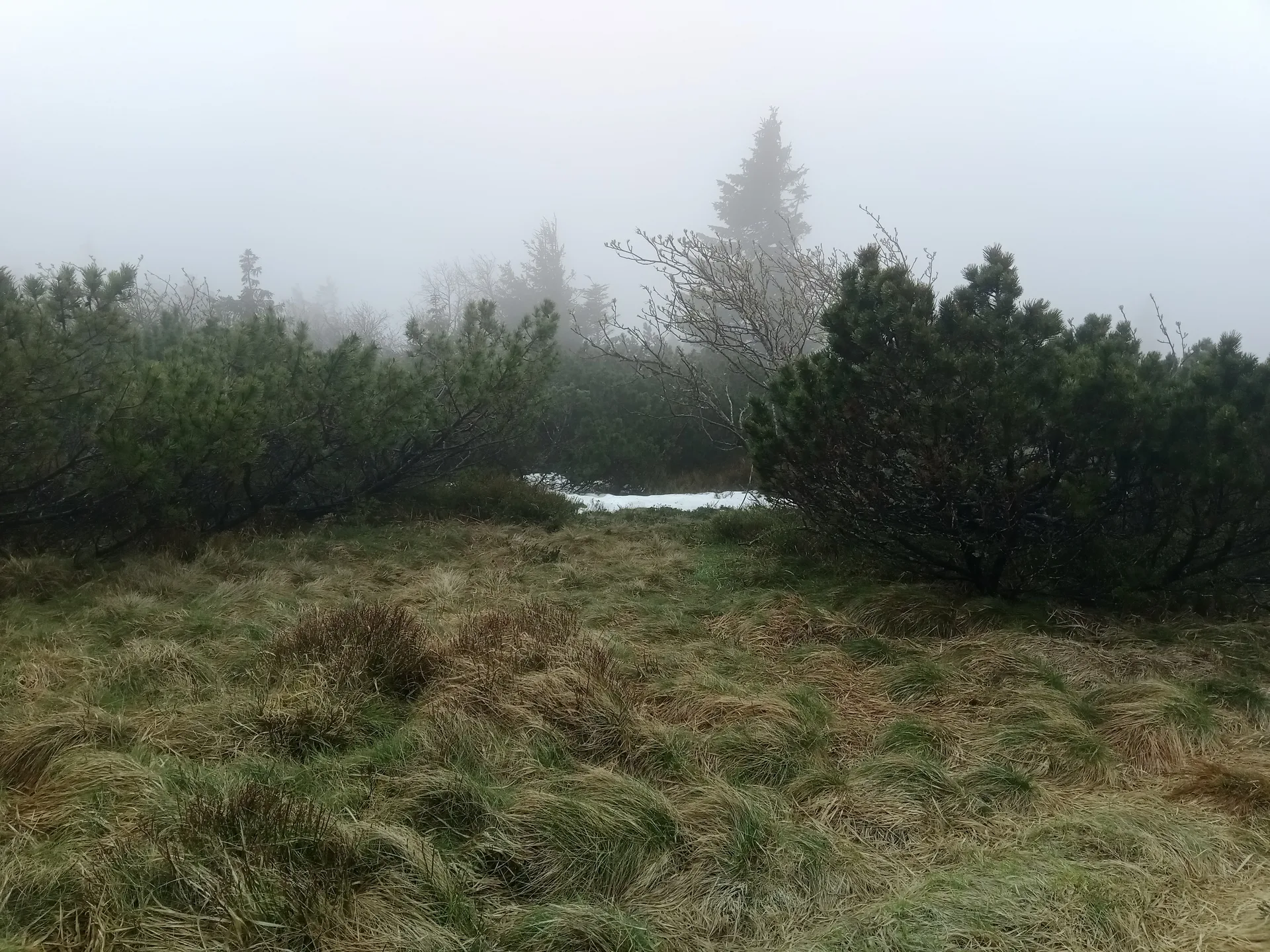 Lac Noir à Orbey — À 1,5 km du lac