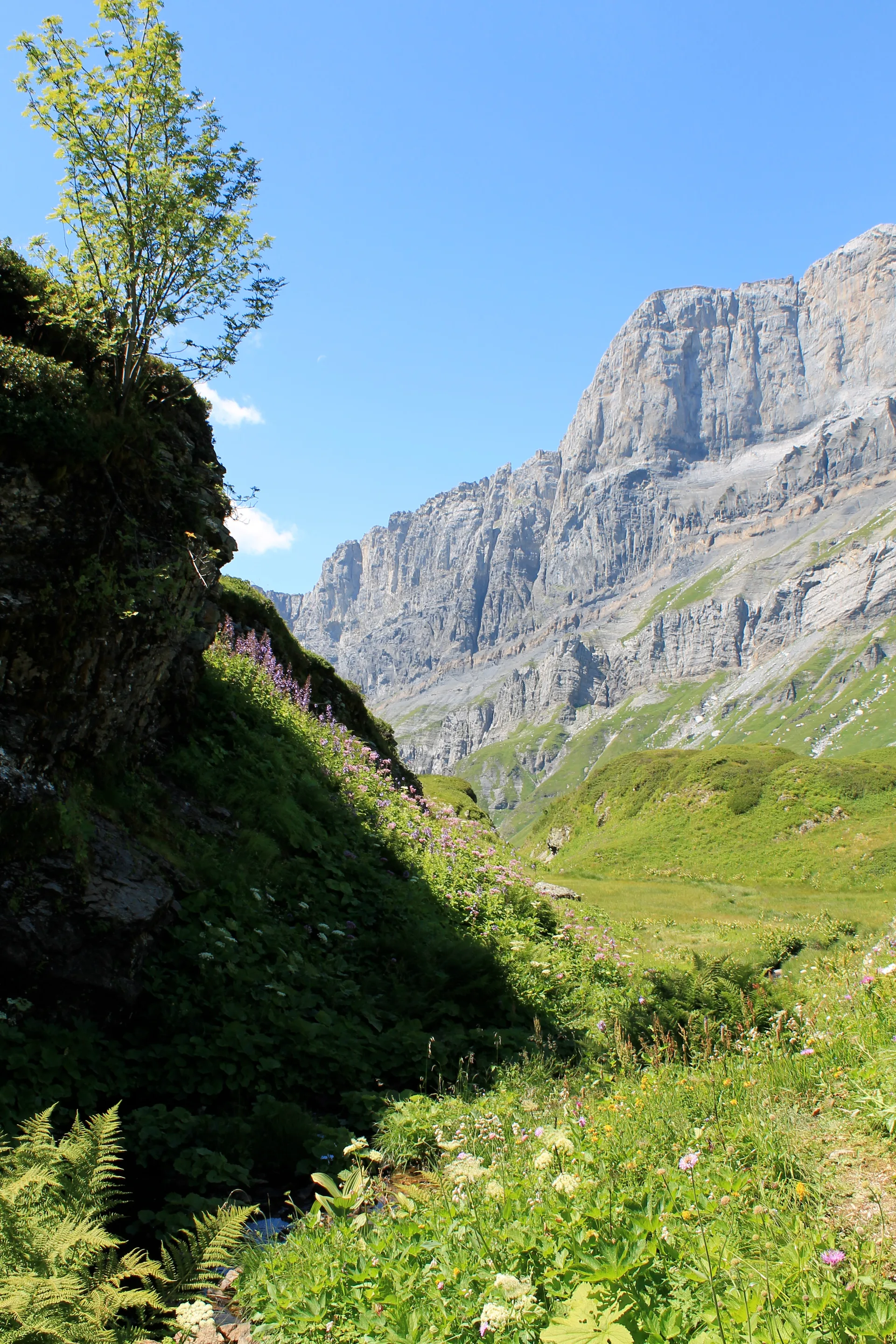 Lac Pormenaz à Passy — Sur le lac