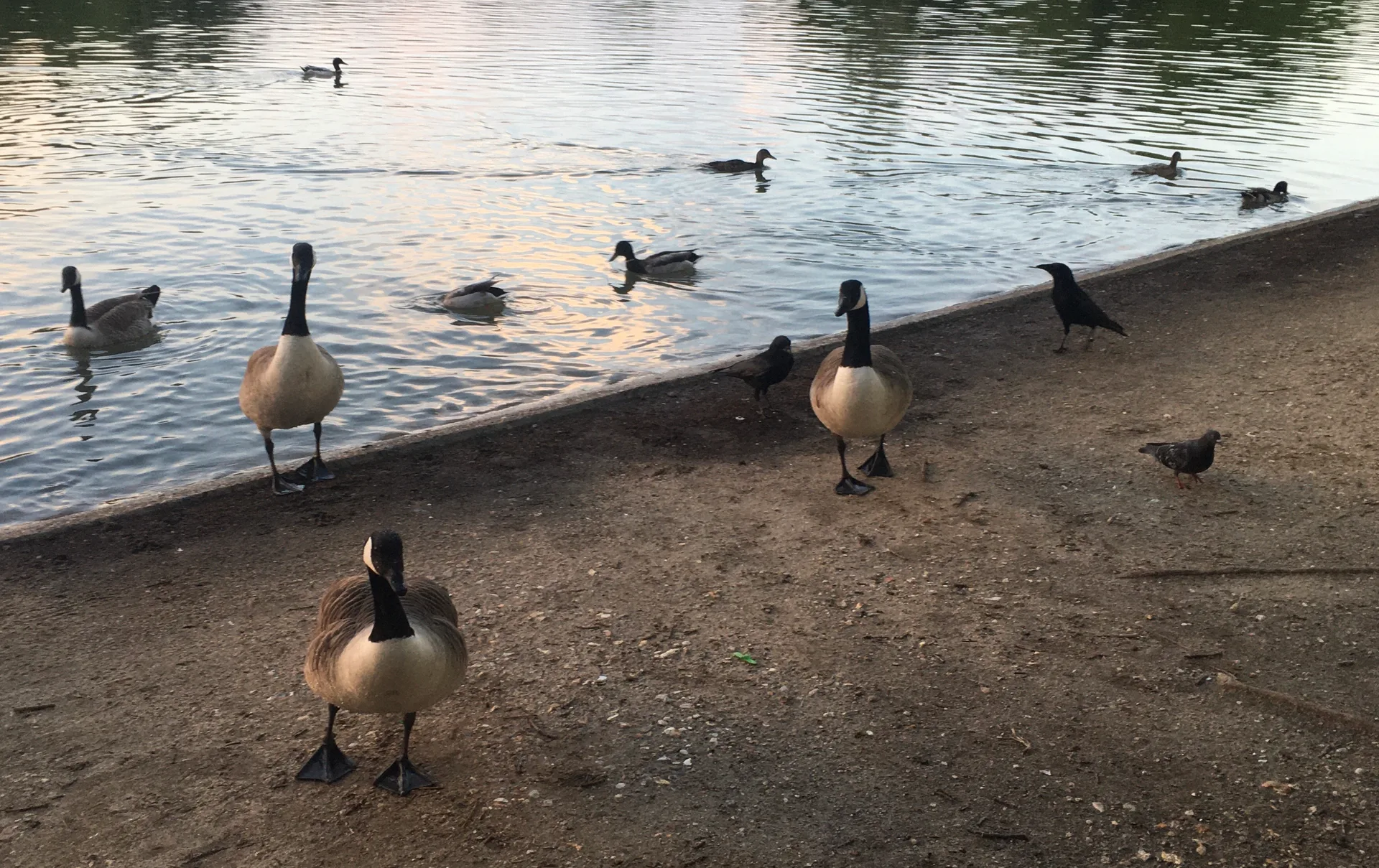 Lac Supérieur à Paris — Sur le lac