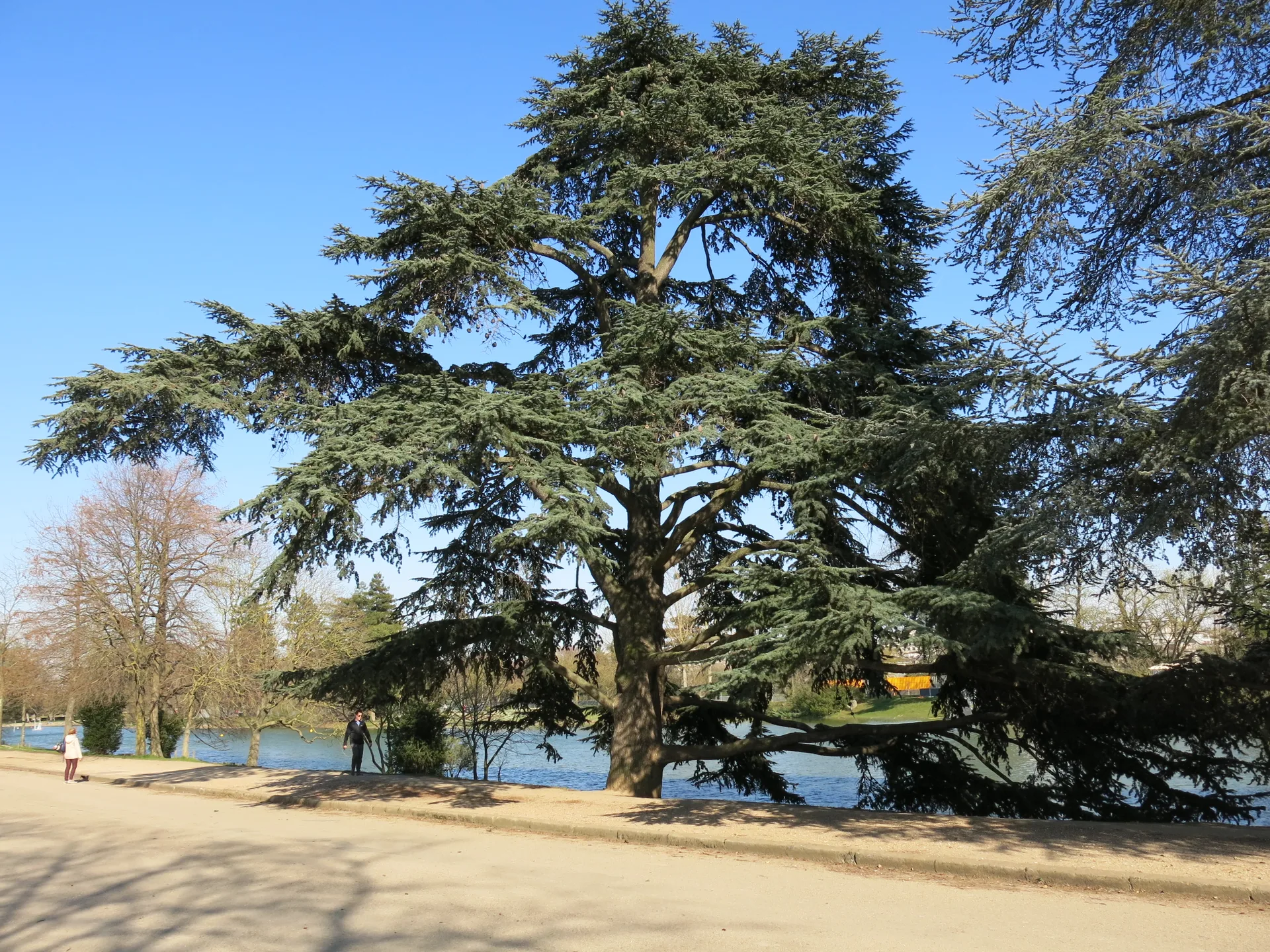 Lac Supérieur à Paris — Sur le lac