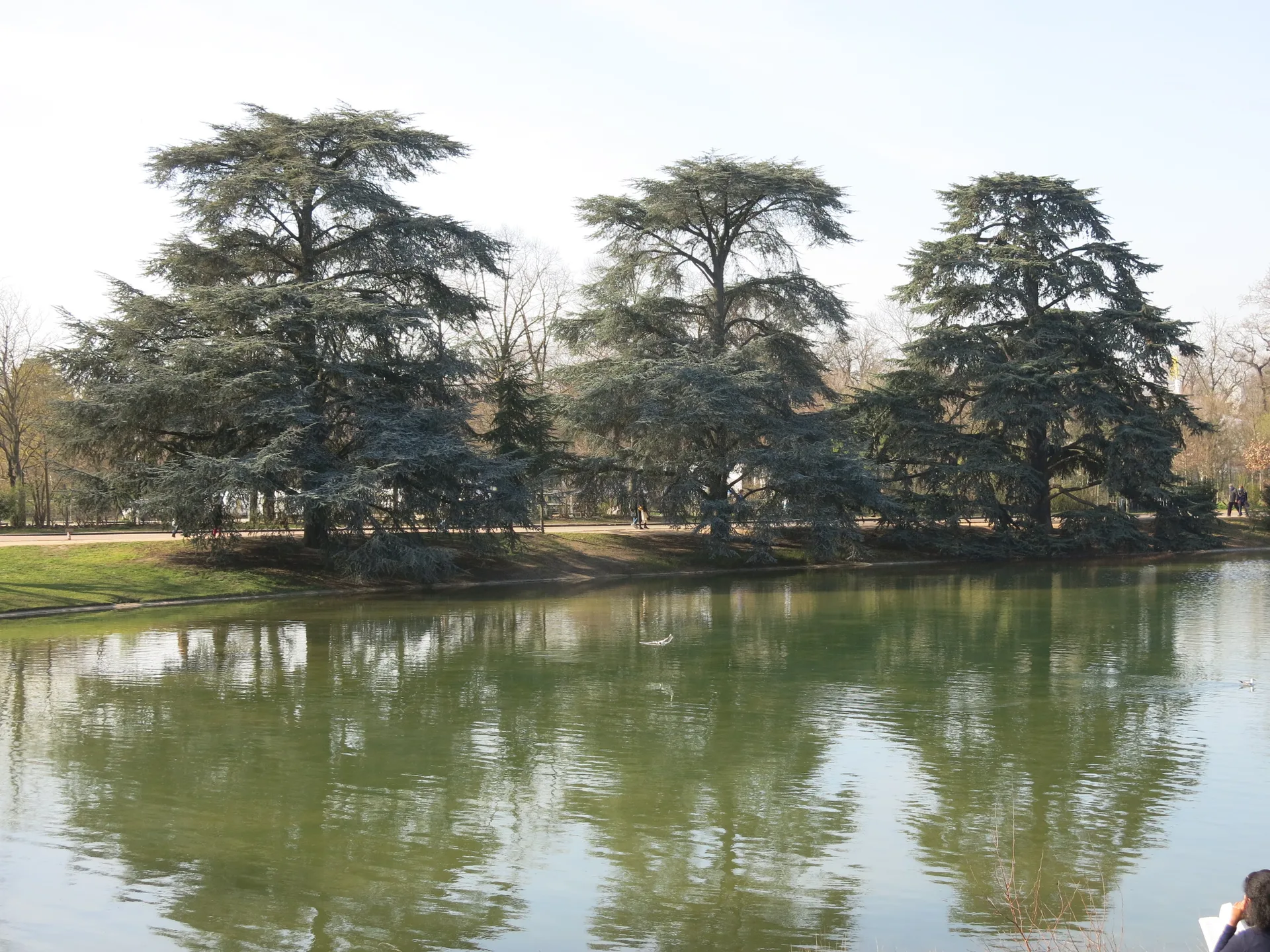 Lac Supérieur à Paris — Sur le lac