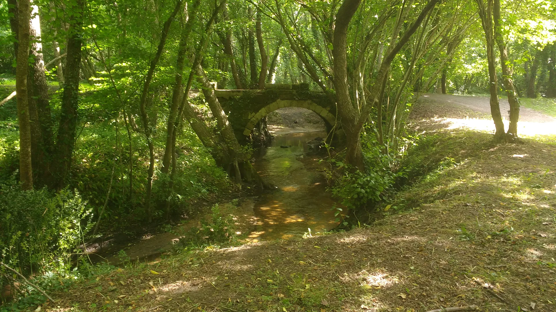 Lac Vert à Canéjan — À 2,7 km du lac