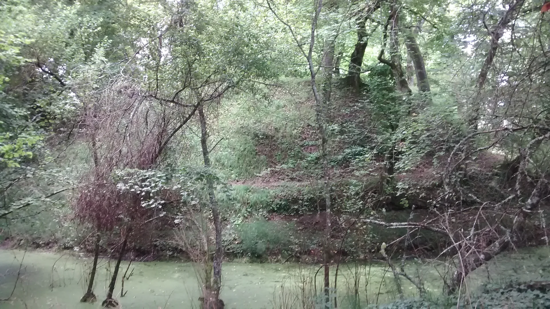 Lac Vert à Canéjan — À 3,5 km du lac