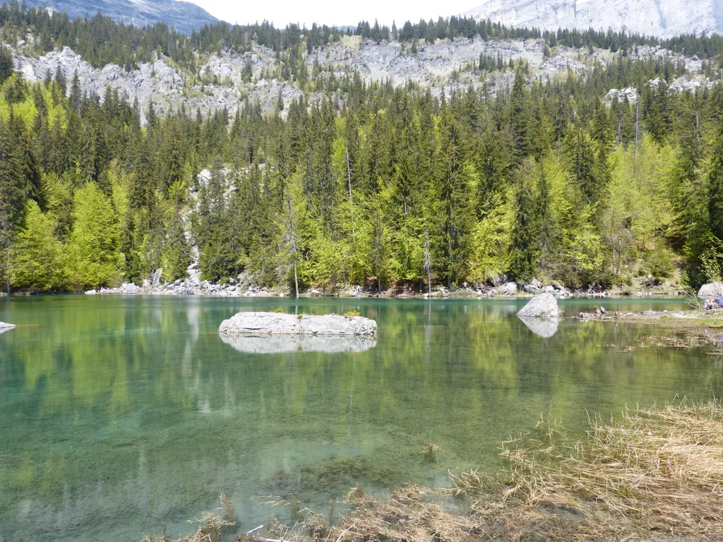 Lac Vert, Passy