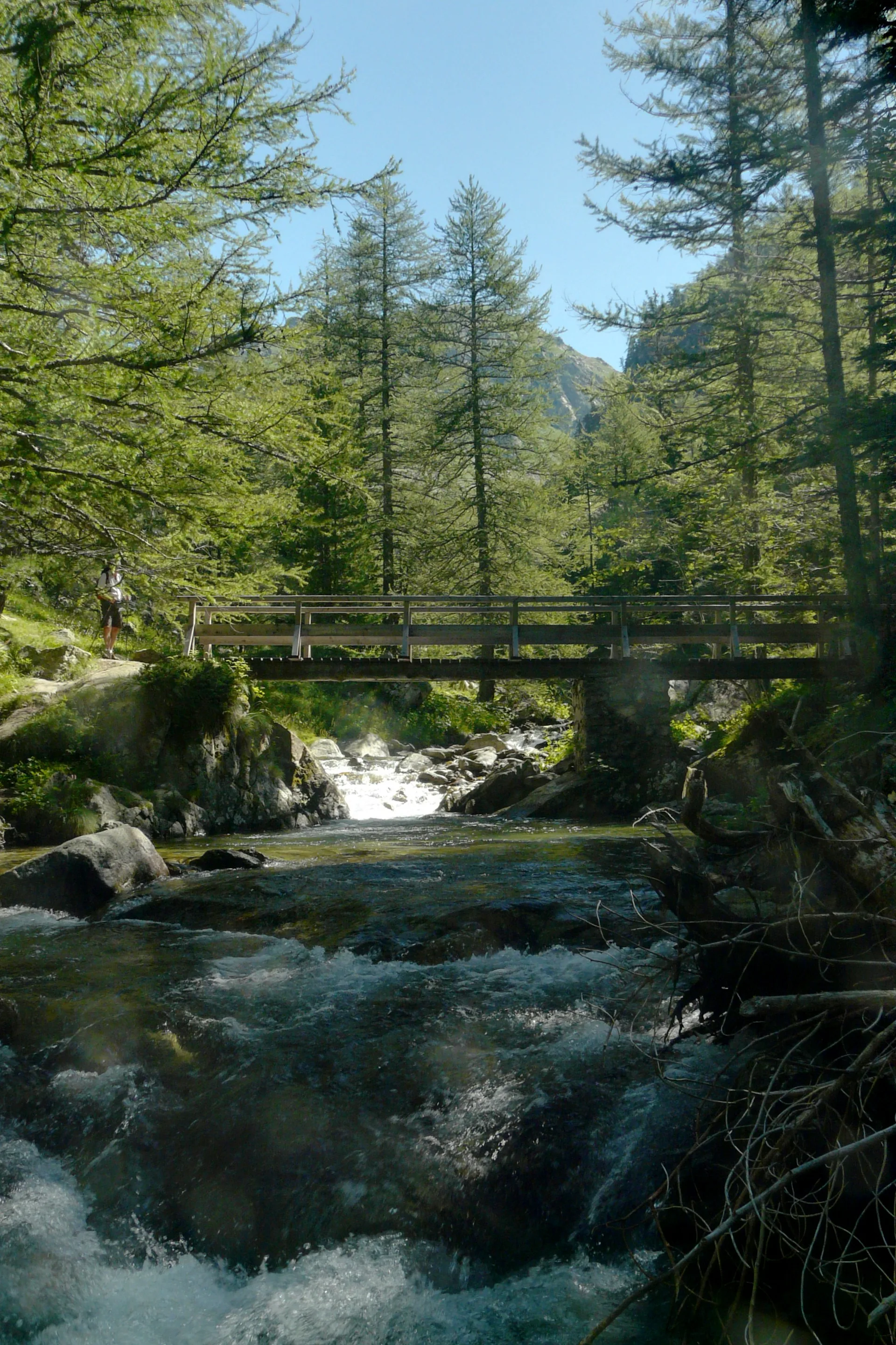 Lacs Bessons à Saint-Martin-Vésubie — À 2,5 km du lac