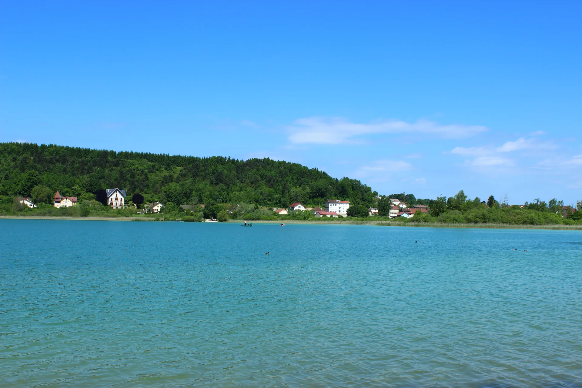Lacs de Clairvaux à Clairvaux-les-Lacs — À 447 m du lac